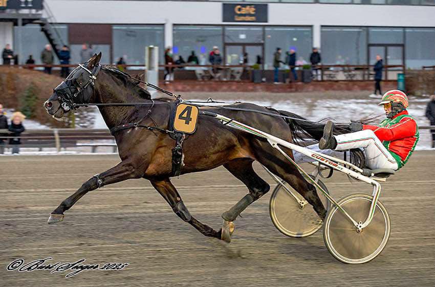 Team - 𝐀̊𝐑𝐇𝐔𝐒 𝟏𝟒/𝟐-𝟐𝟓 Vi er på plads i Århus med fire heste til ...