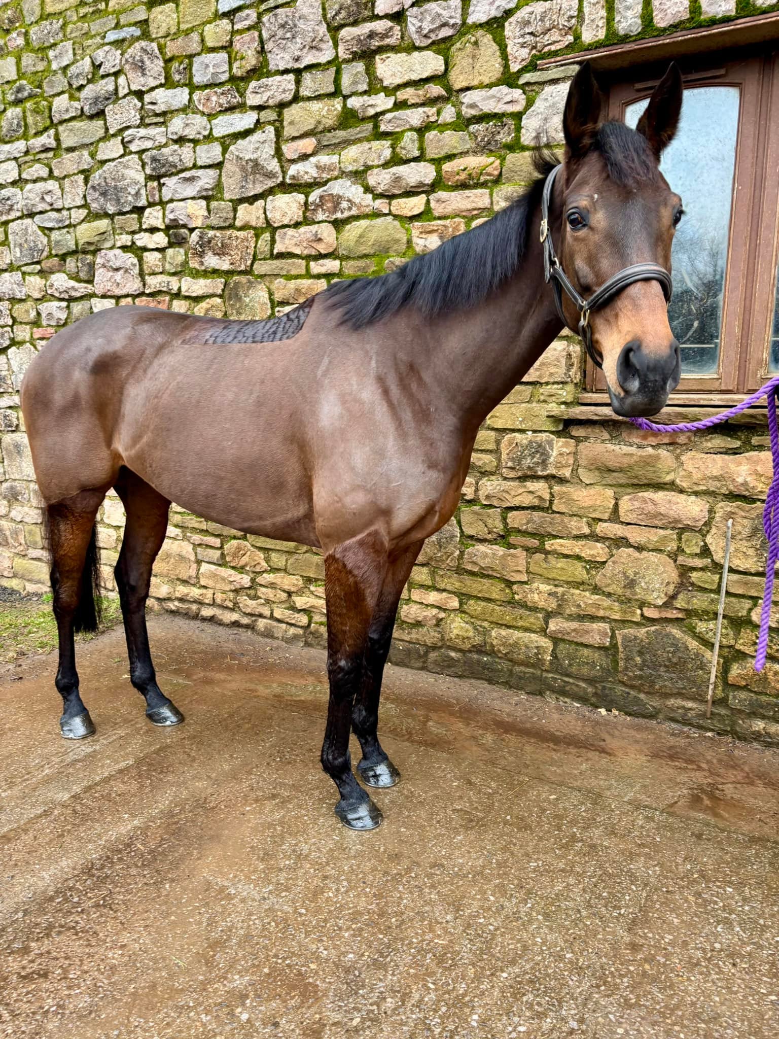Grace Harris Racing | Chepstow