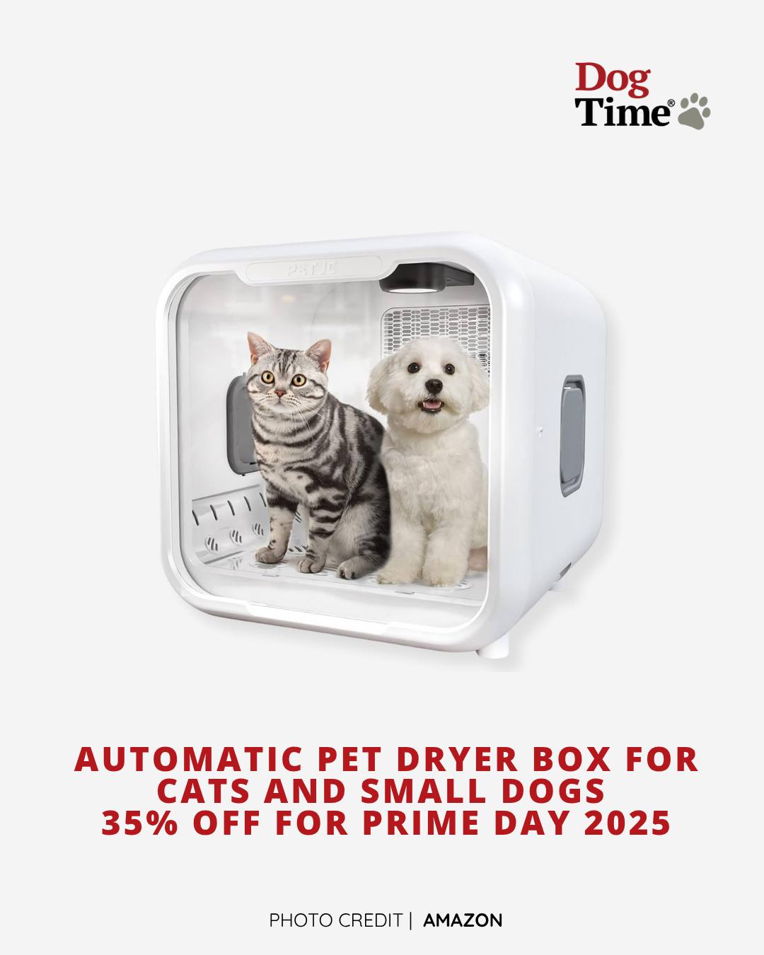 DogTime