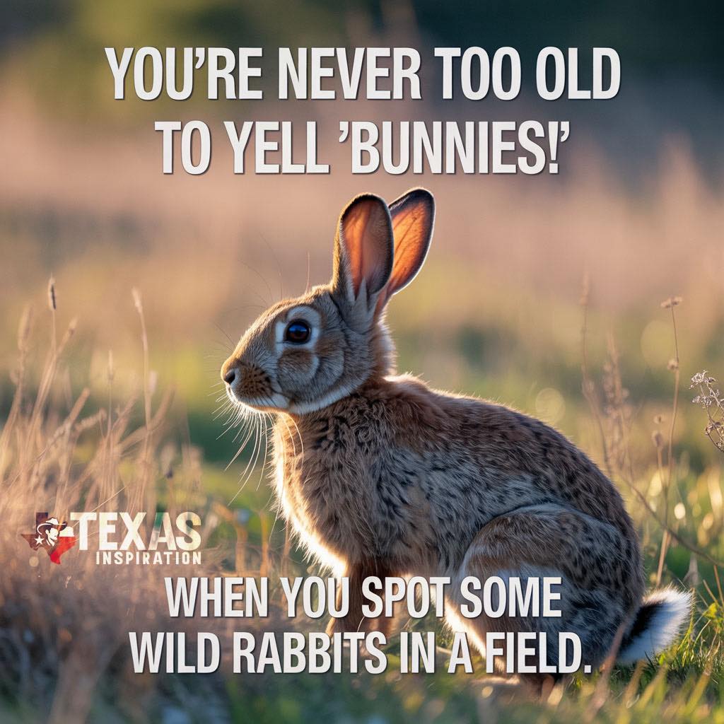 Texas Inspiration | Facebook