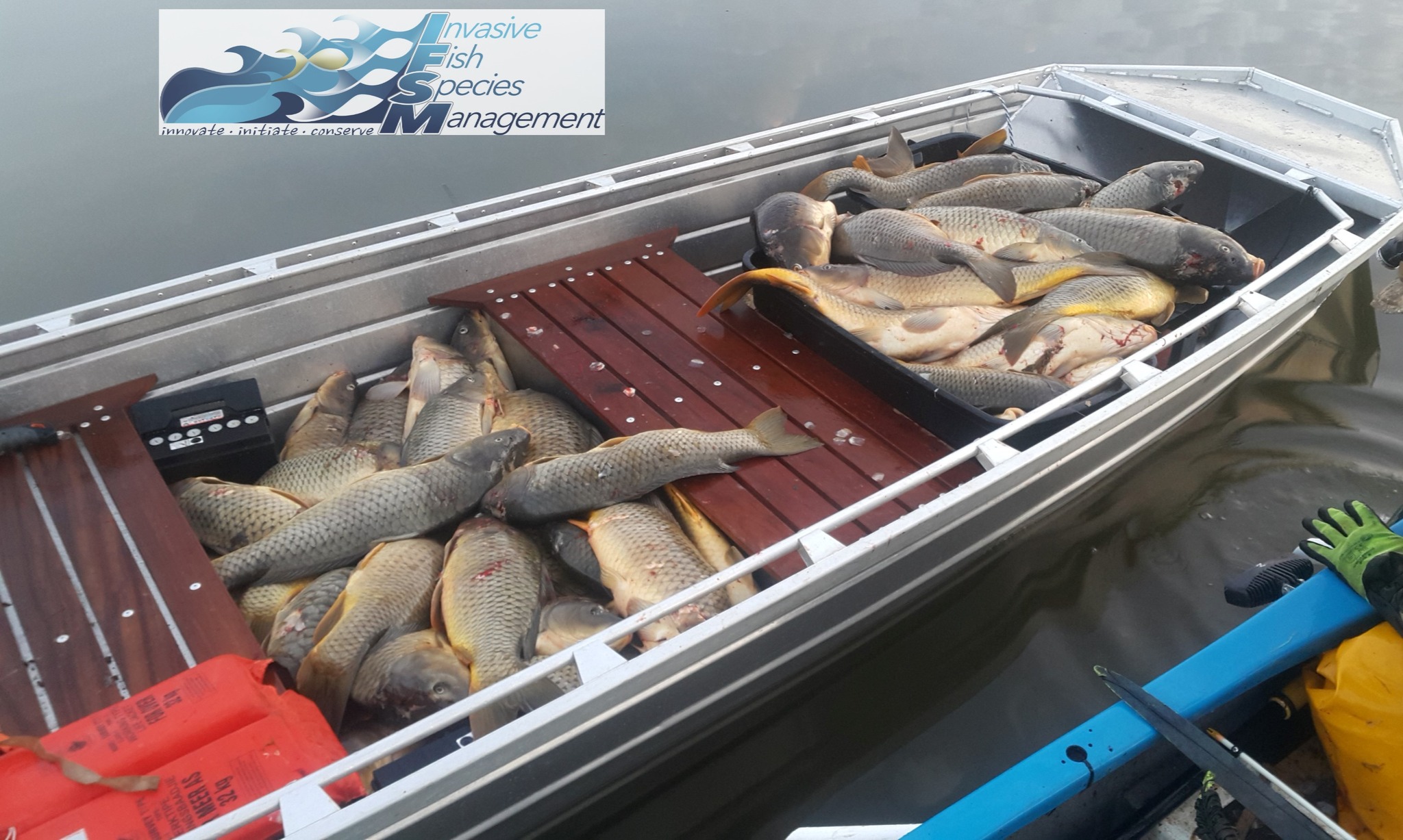 Invasive Fish Species... - Invasive Fish Species Management