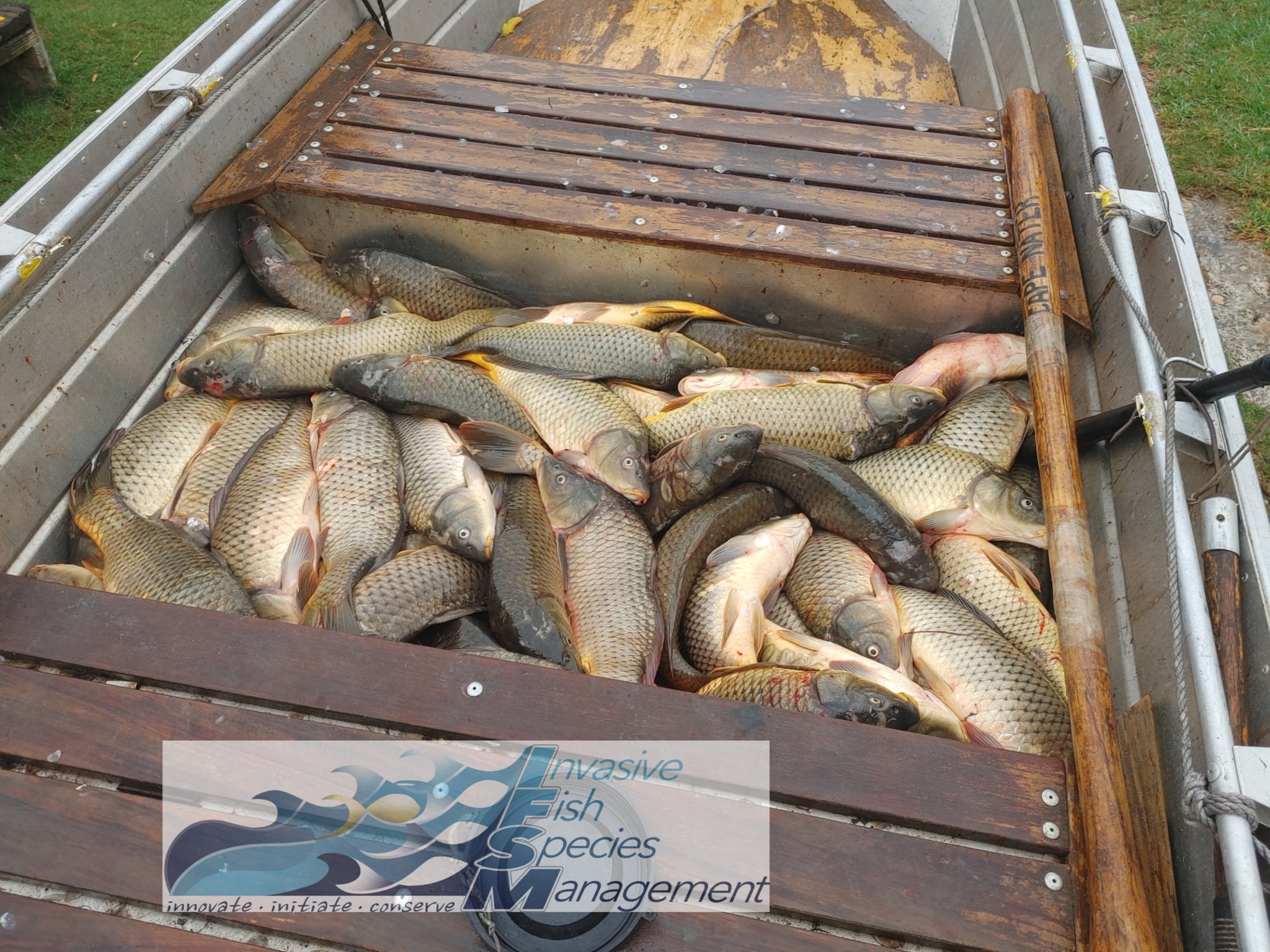 Invasive Fish Species... - Invasive Fish Species Management