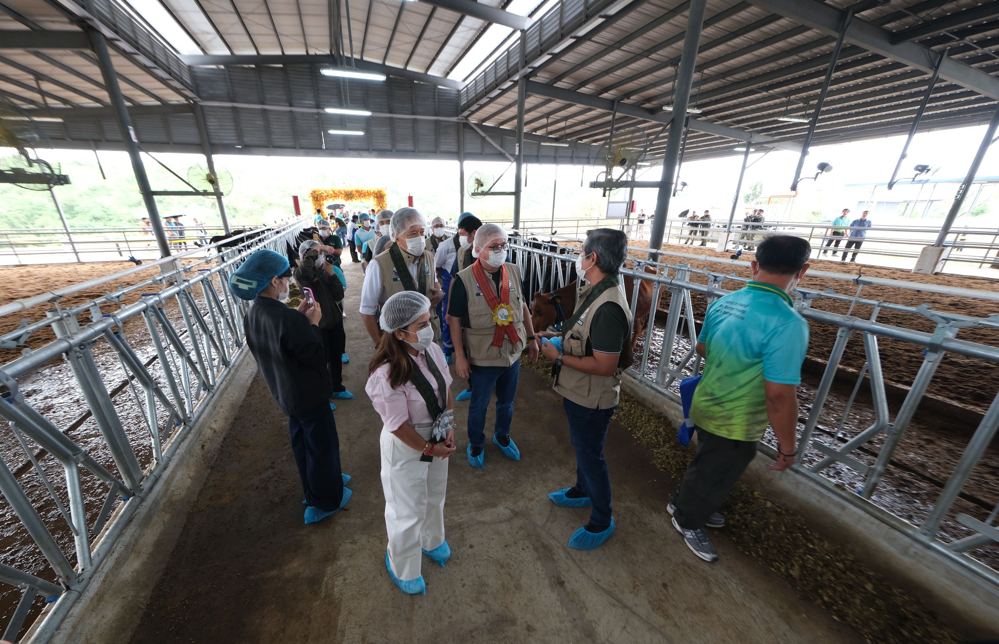National Livestock Program - Department of Agriculture | Quezon City