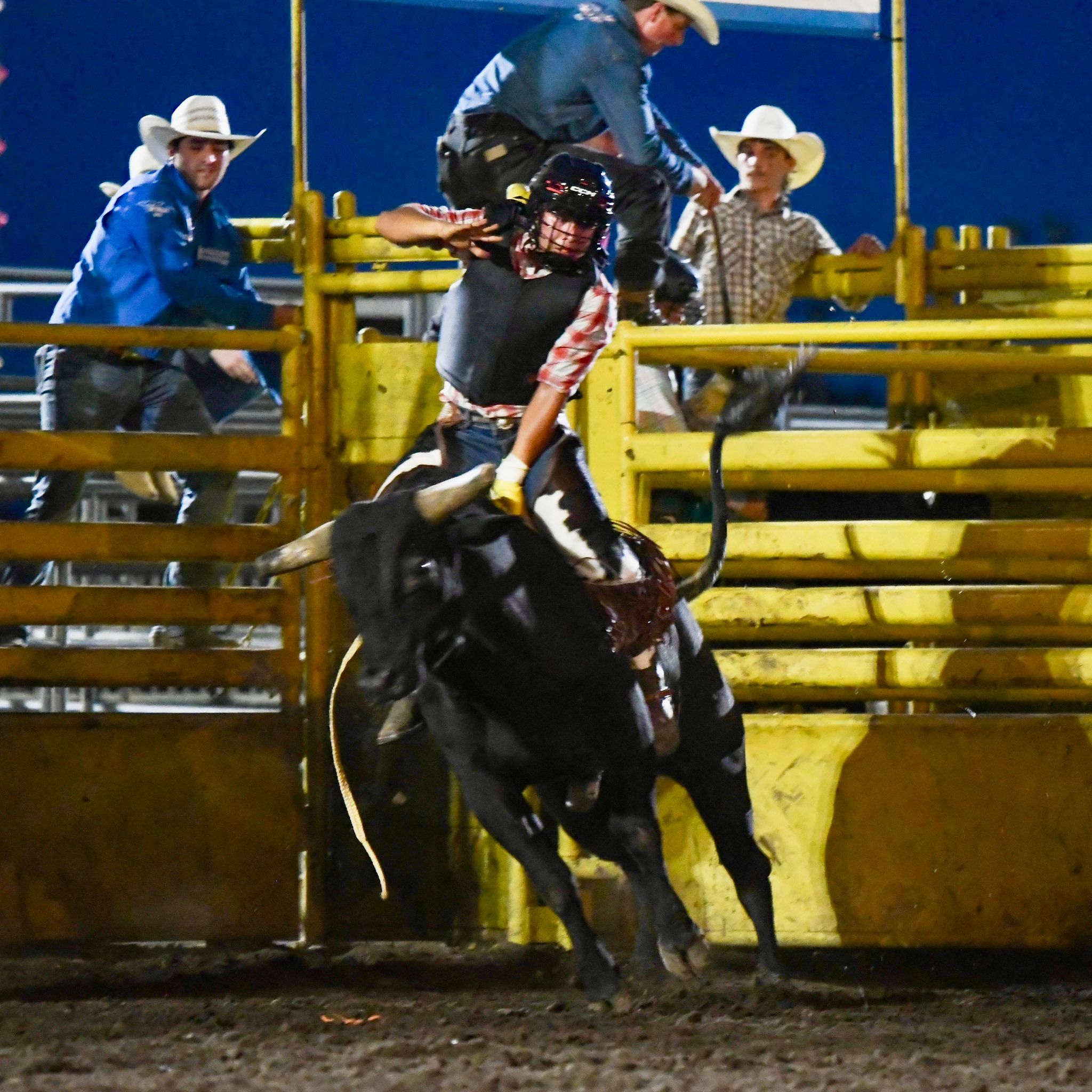Merrick County Fair | Central City NE
