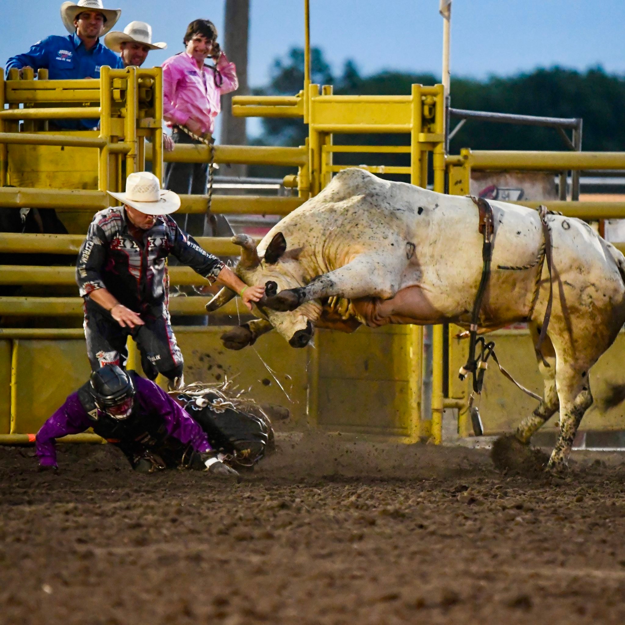 Merrick County Fair | Central City NE
