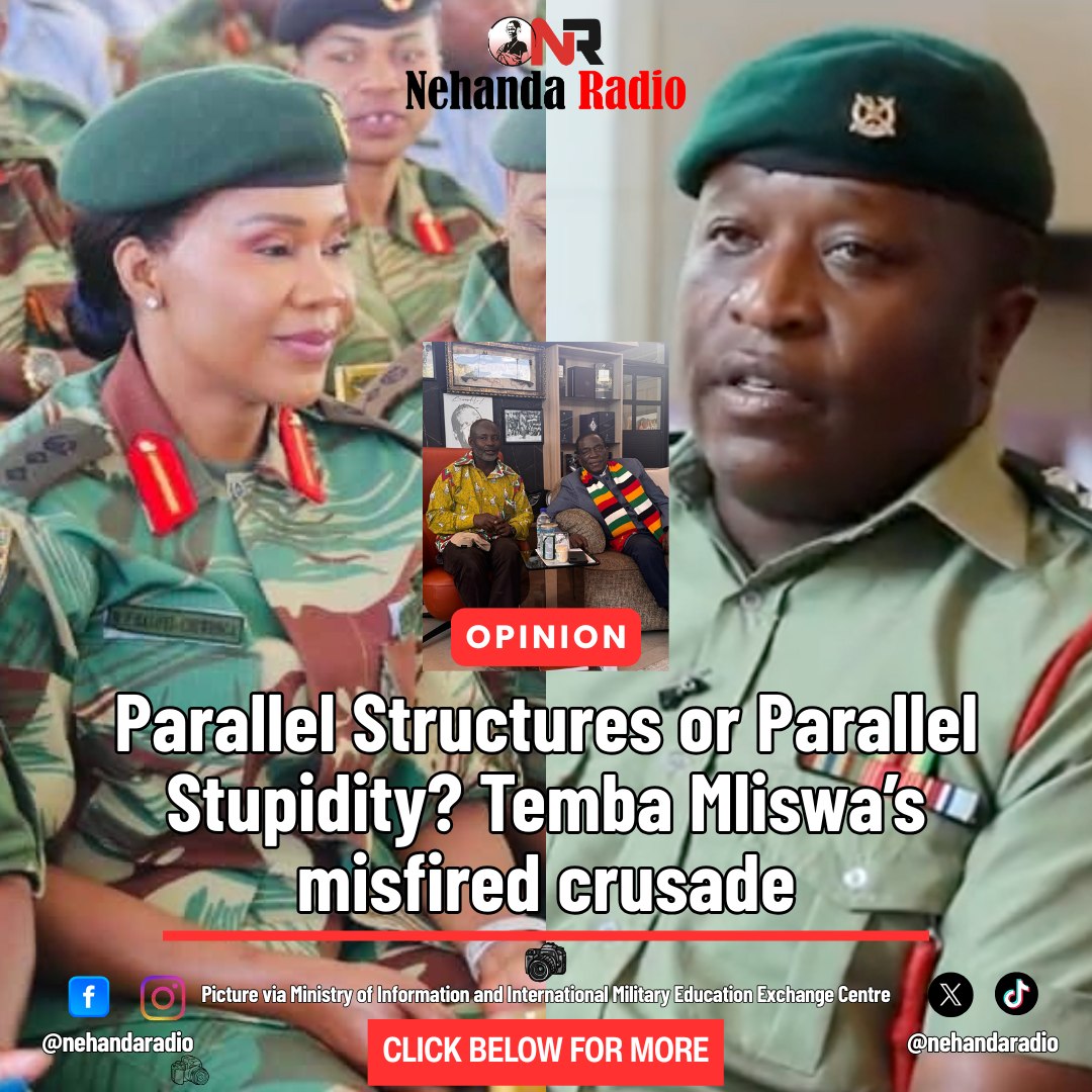 Nehanda Radio - By Reason Wafawarova If Colonel Baloyi’s... | Facebook