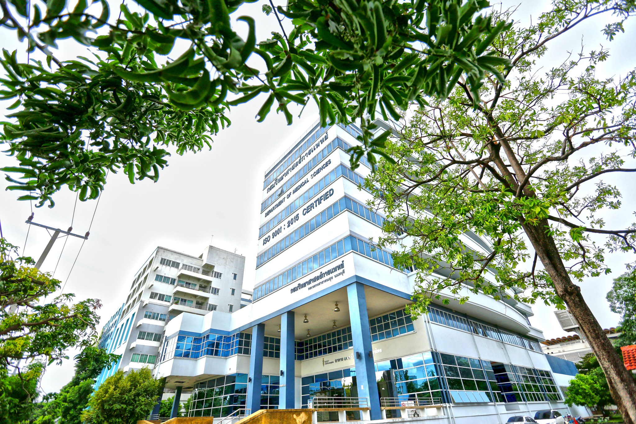 มูลนิธิกรมวิทยาศาสตร์การแพทย์ - DMSc foundation