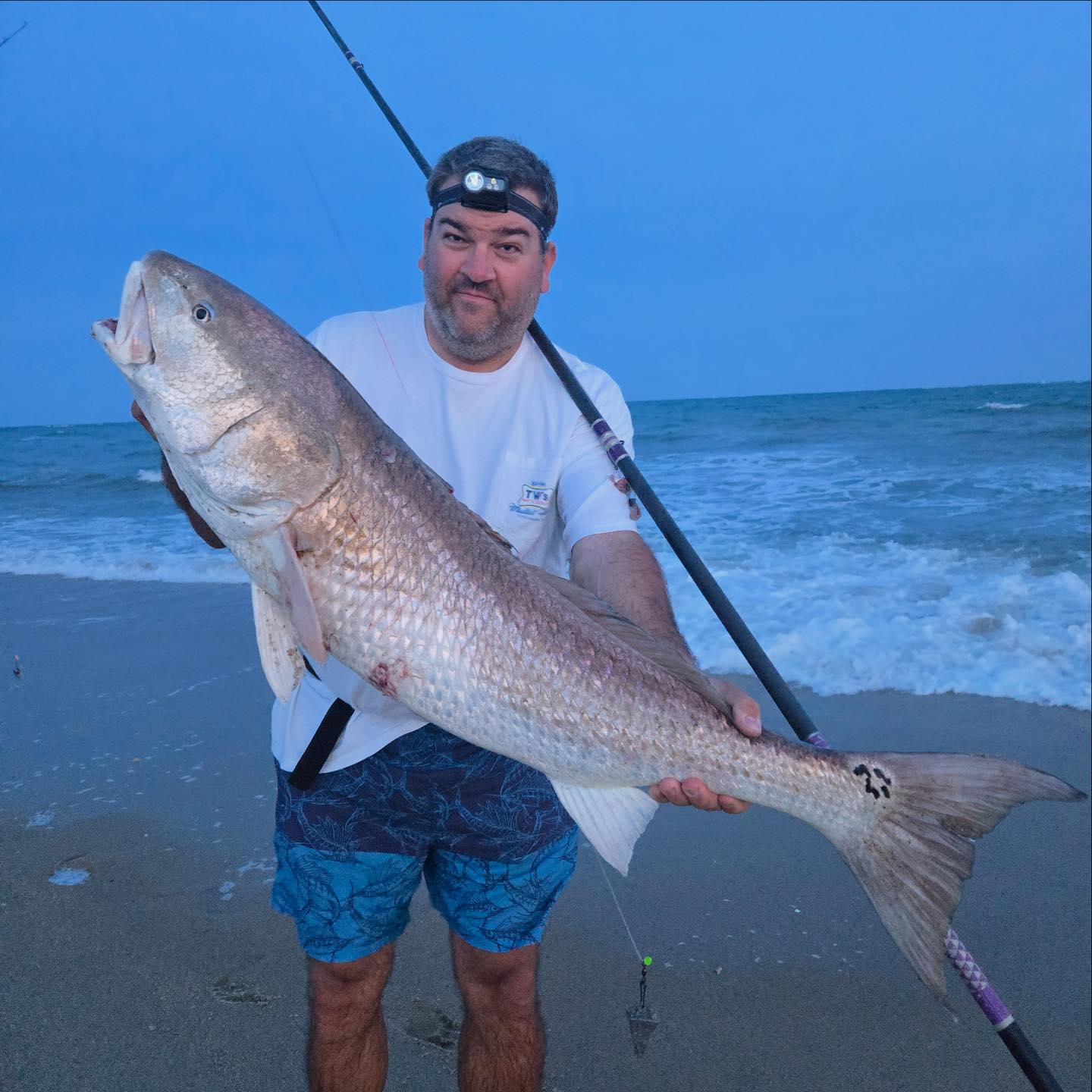 TW'S Bait and Tackle - Dr. Tom Hankins of Hatteras Island holds a large ...