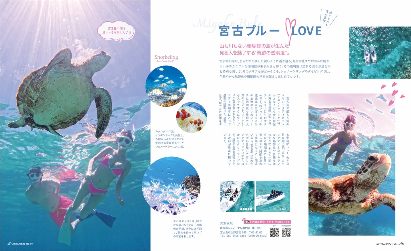 宮古島 シュノーケル 専門 店 海 umi