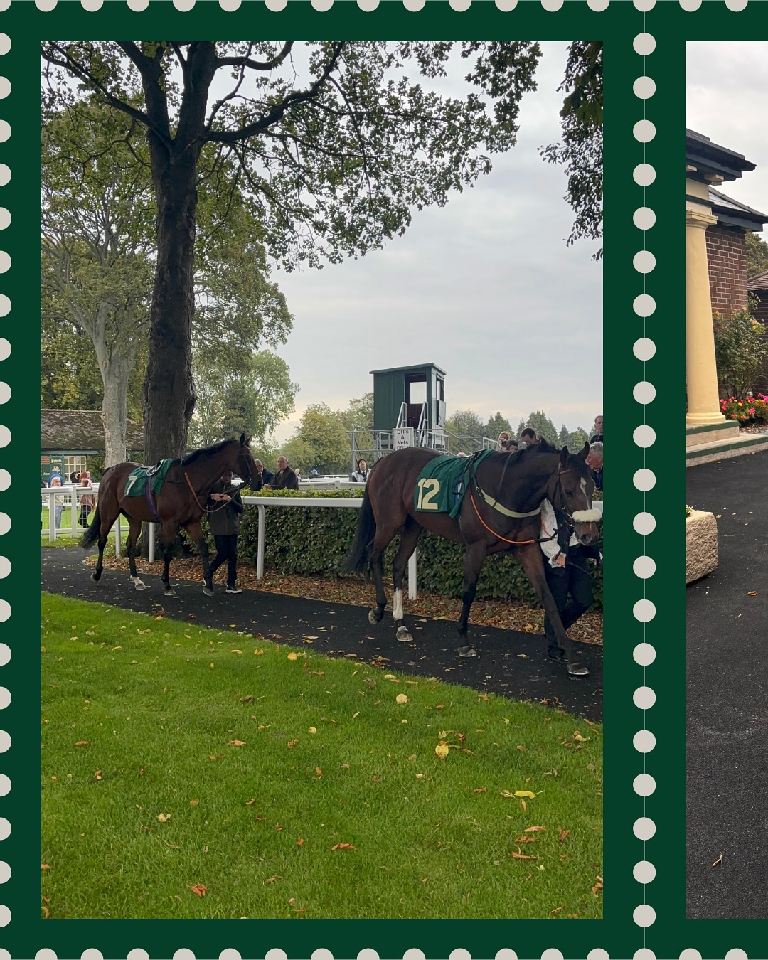 Ripon Races | Harrogate