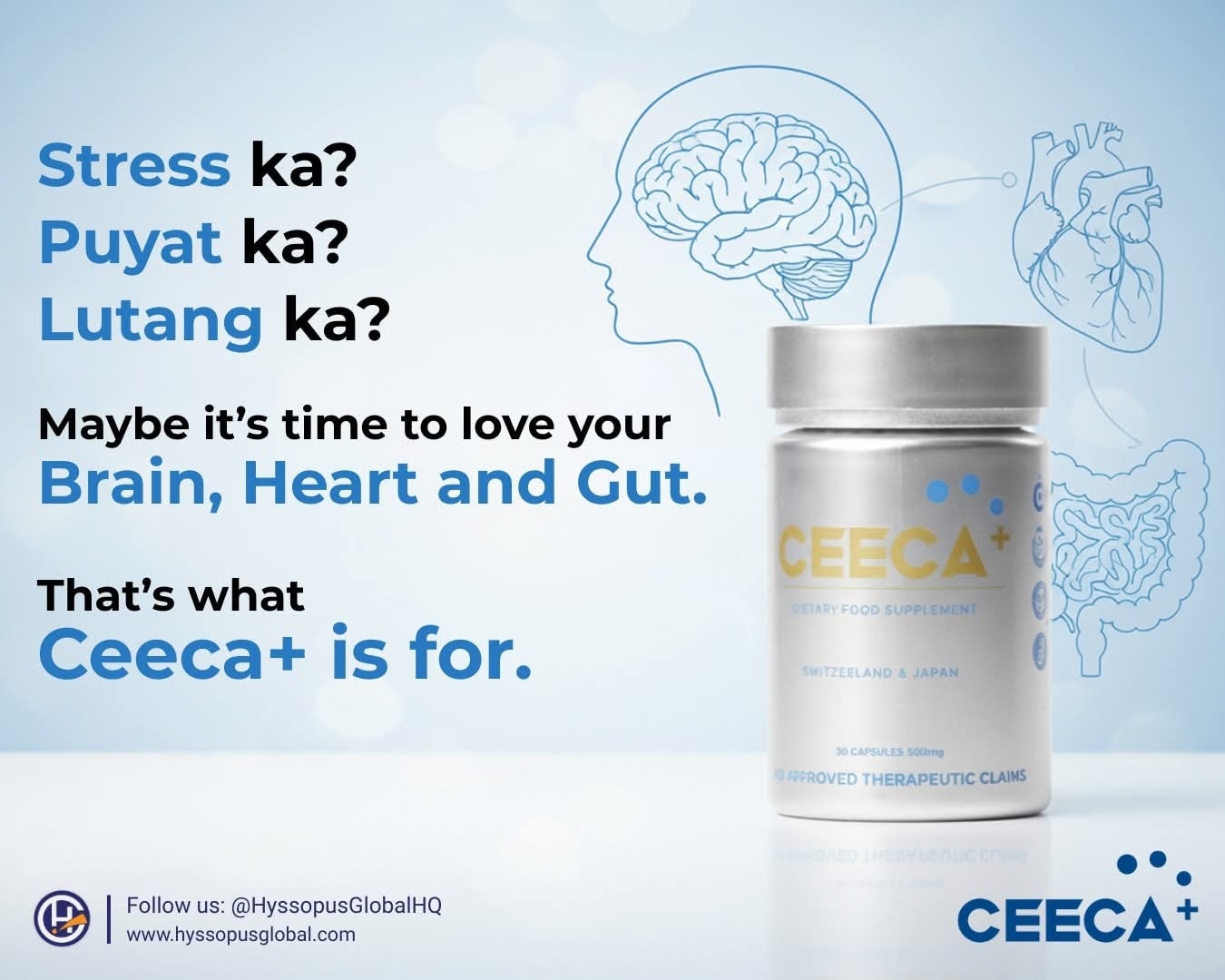 CEECA Davao | Davao City