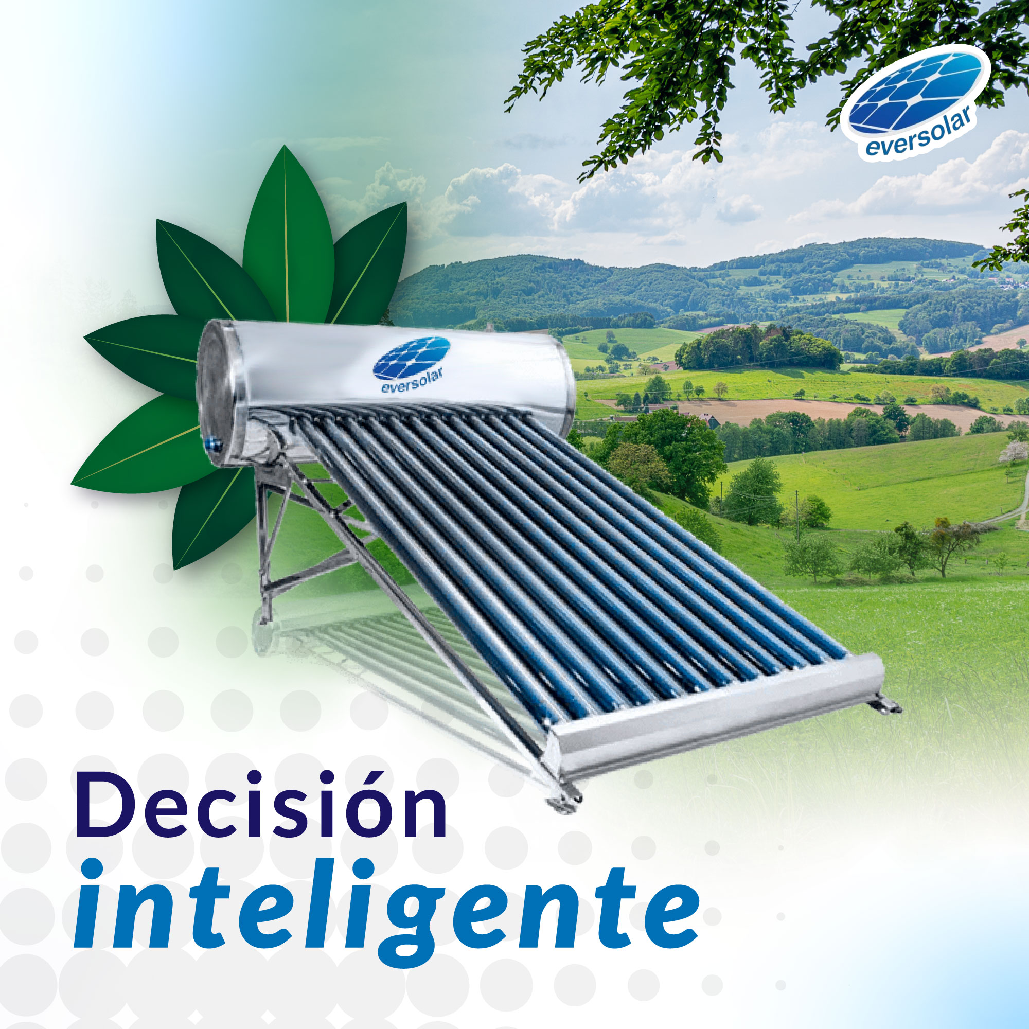 Eversolar - Invertir en un calentador solar es invertir en tu calidad ...