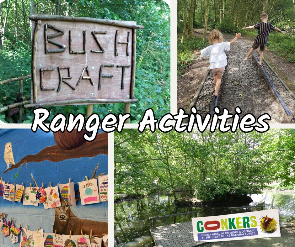 Visit Conkers - 🪲🌿 Ranger Activities – On Every Day This... | Facebook