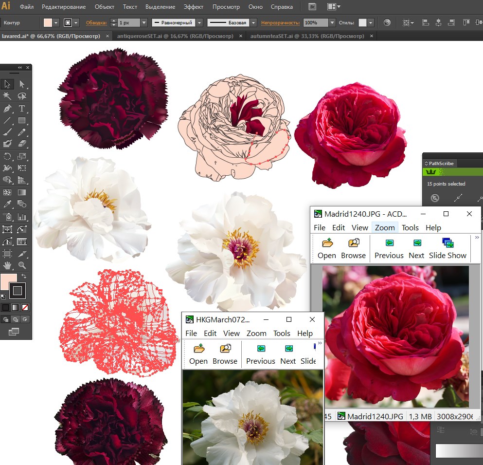 New vectors 🌺🥀🌹 References... - Lavendertime Vector Design | Facebook