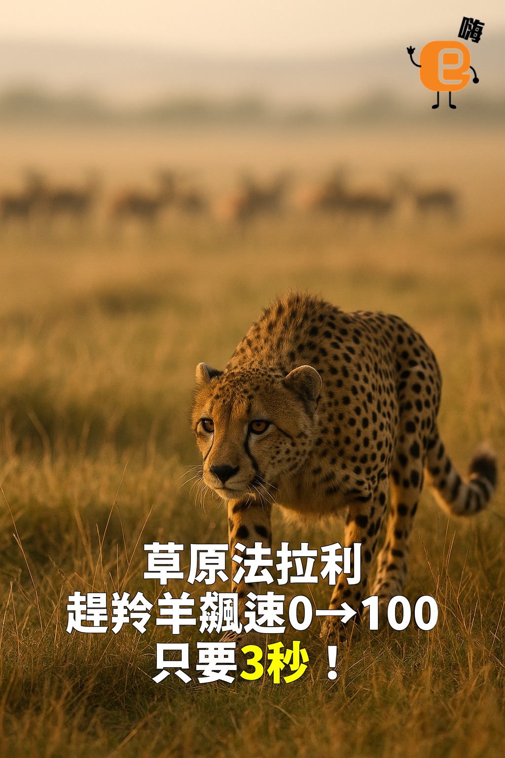你以為 ＃獵豹 是「貓科之王」？結果牠 #連吼都不會吼！... - 動物愛很大 Love Animals | Facebook