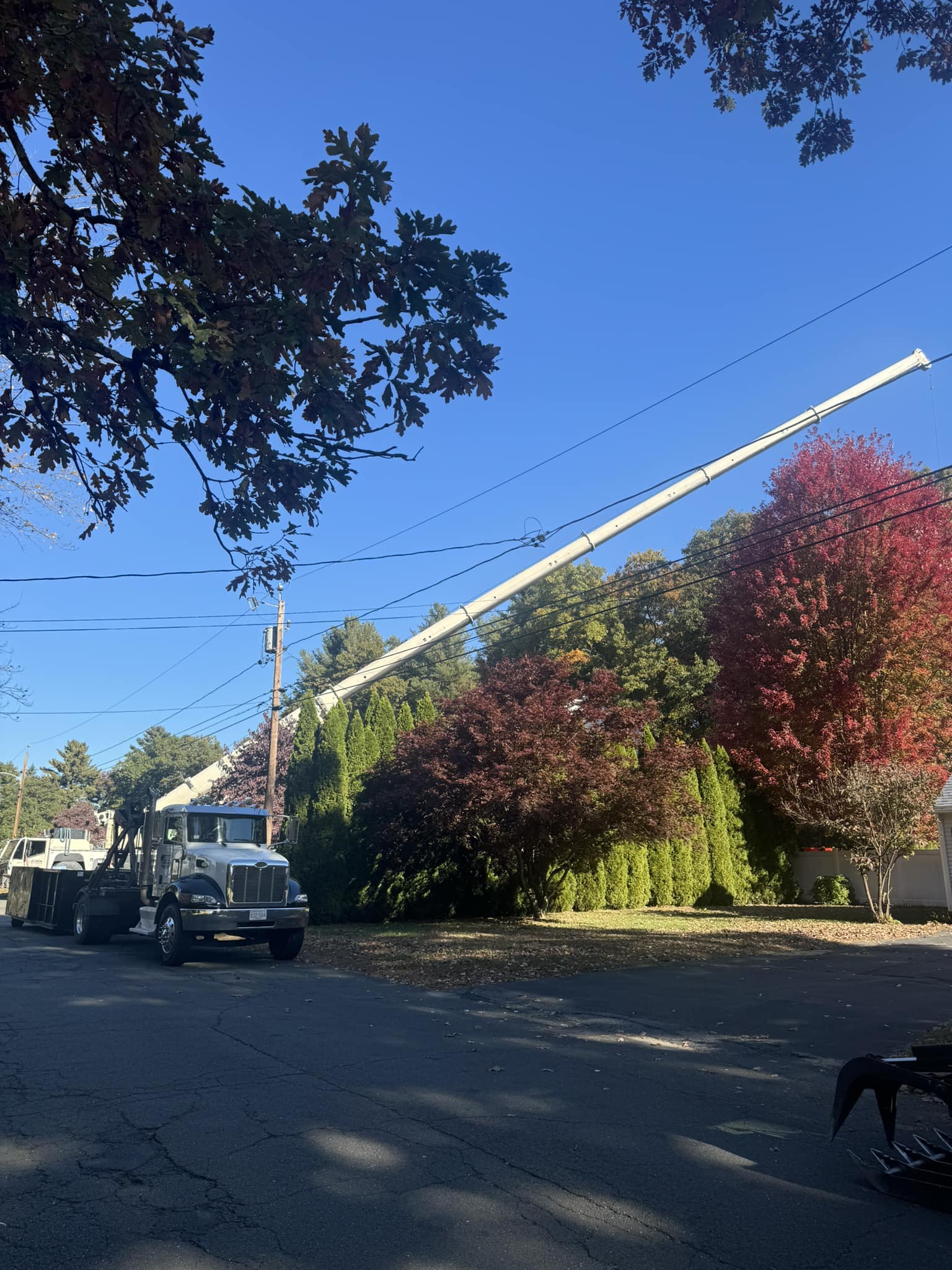 Ryan’s Tree Service LLC