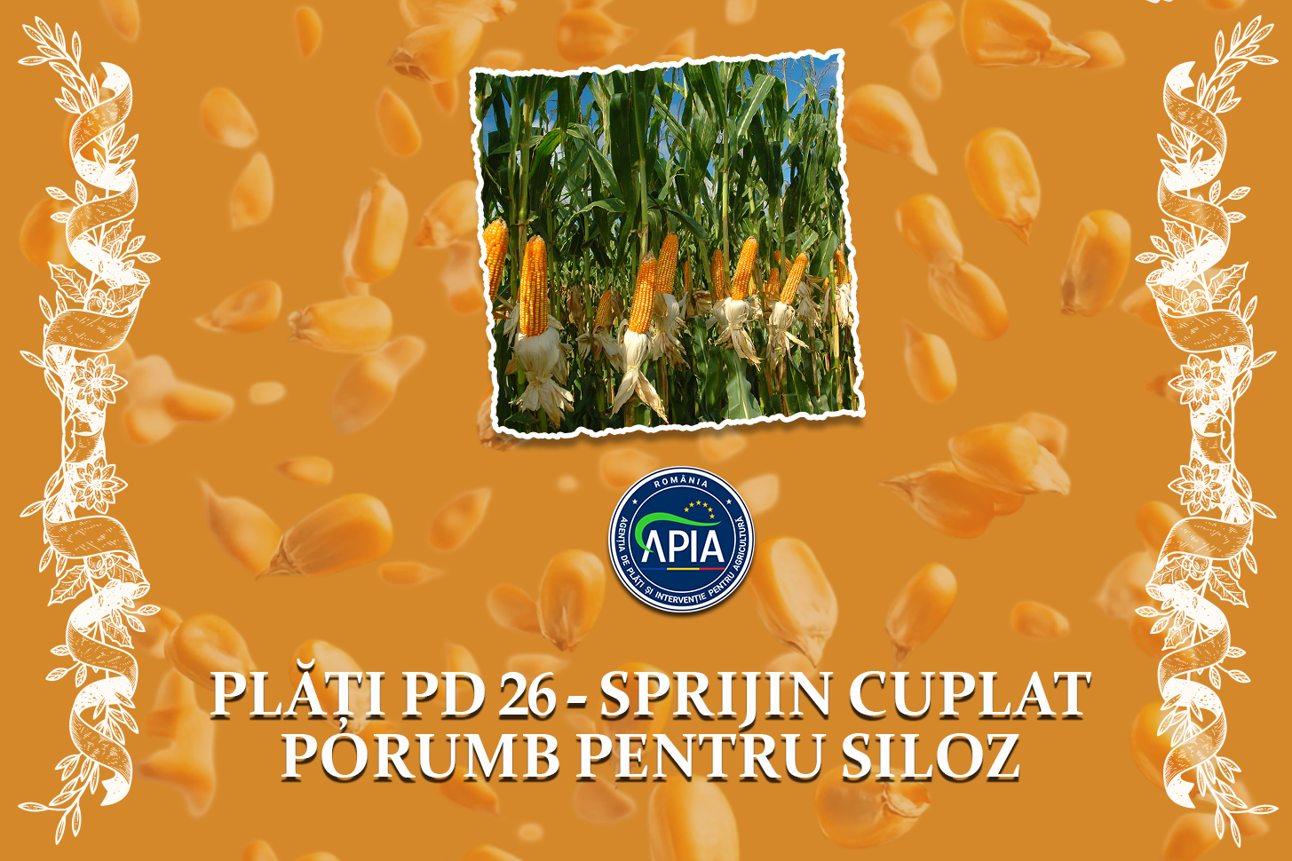 Apia Romania