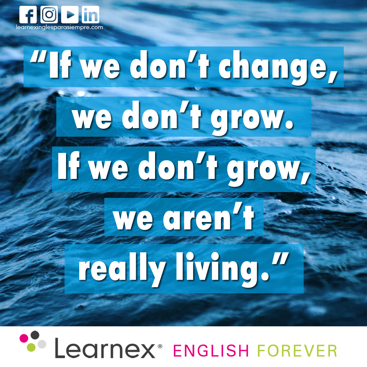 Learnex