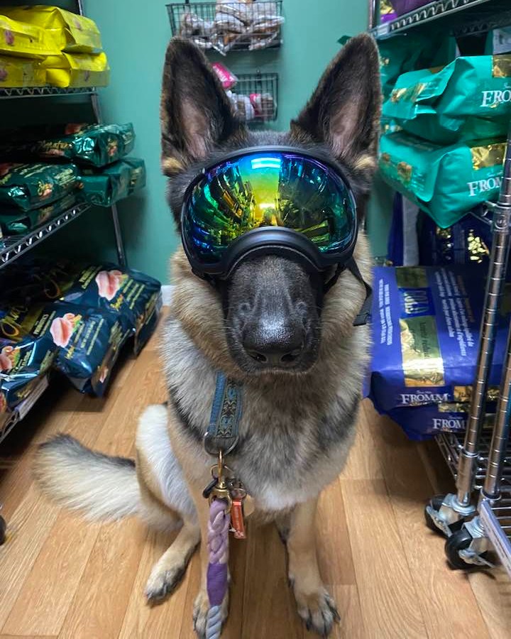 german shepherd motorcycle helmet Cover - Dog About The Item Namsan Dog Helmets for Large