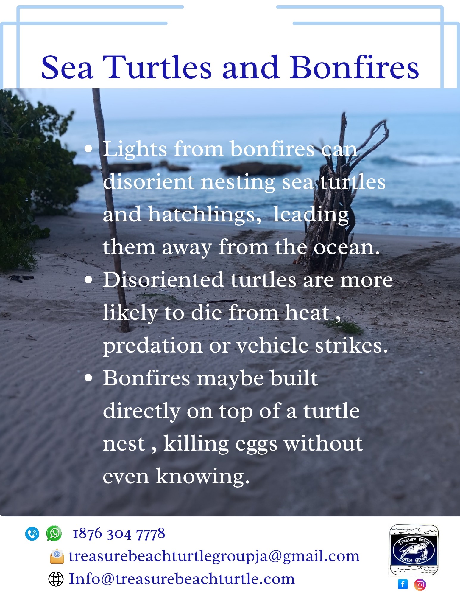 Treasure Beach Turtle Group