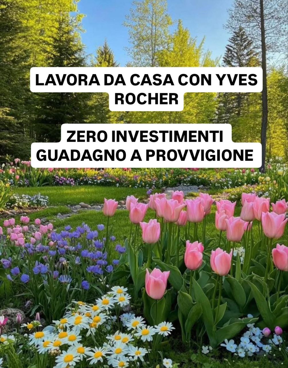 Academy - Crea il tuo pacchetto