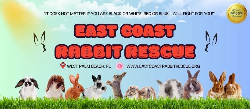 East Coast Rabbit Rescue