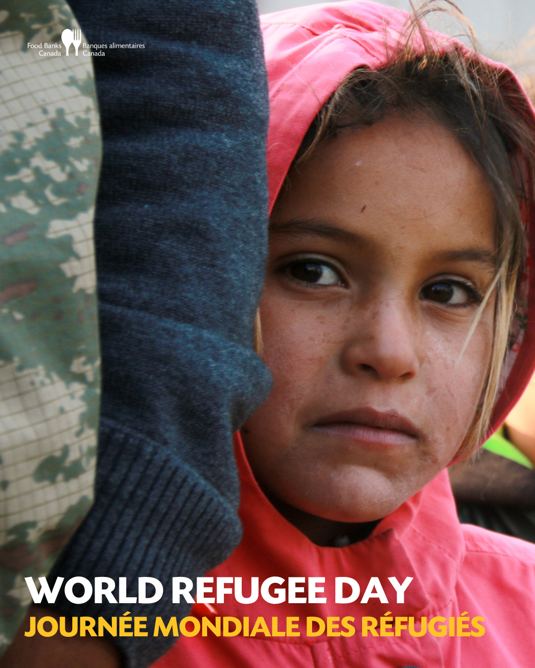 Food - For many refugees arriving in Canada, food insecurity is one of ...