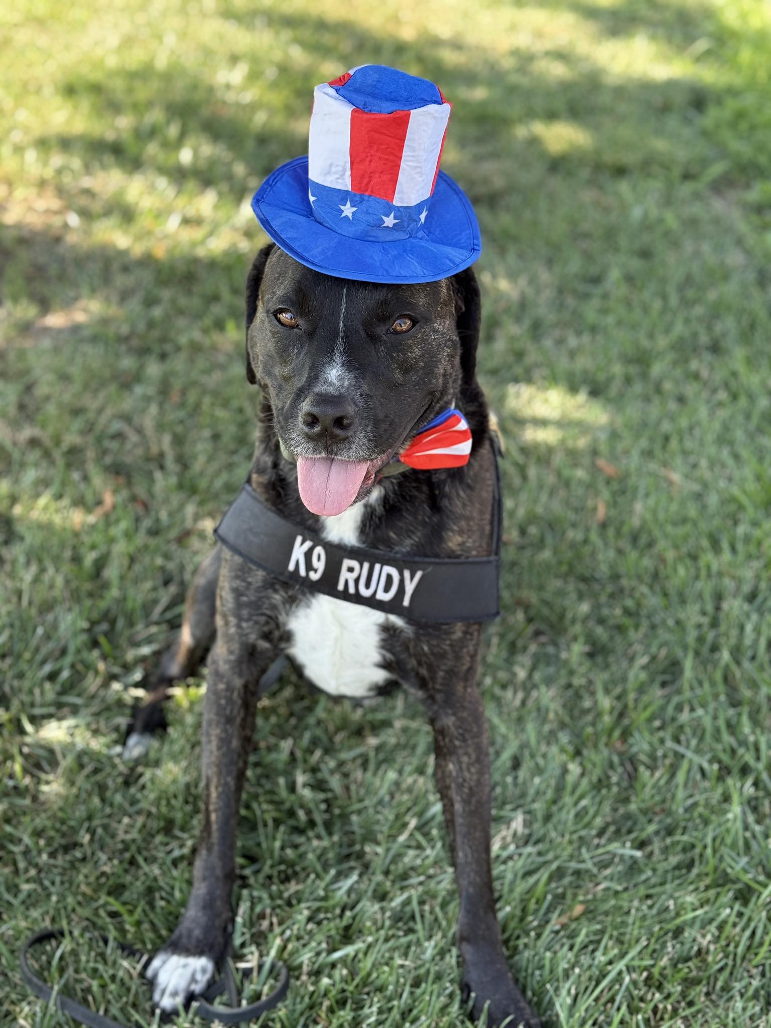 Johnson - Happy Fourth of July from K9 Rudy and the Johnson County ...