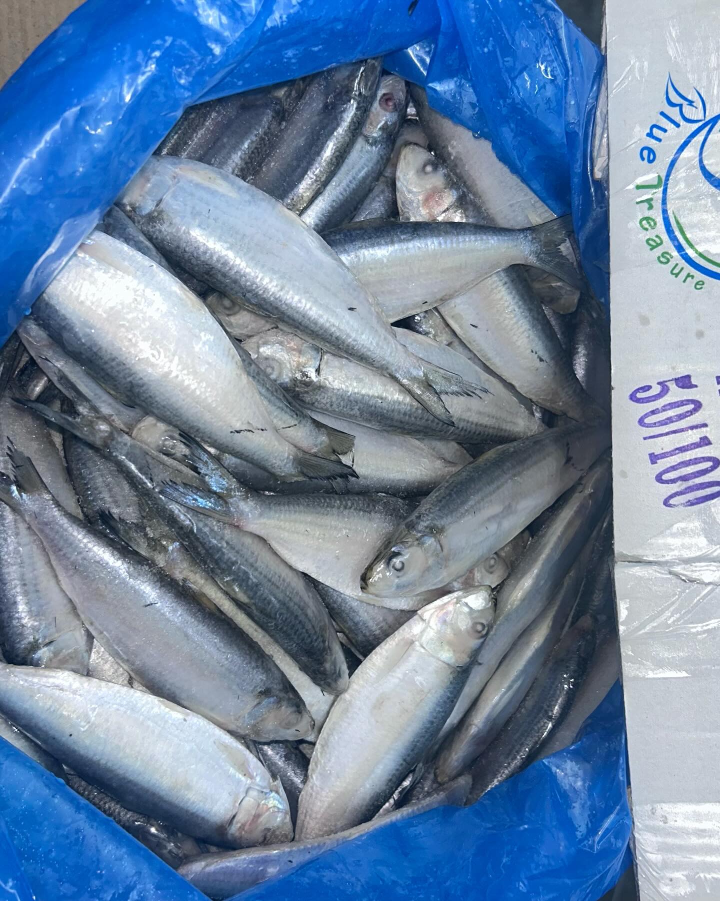 Shyam Marine Foods | Veraval
