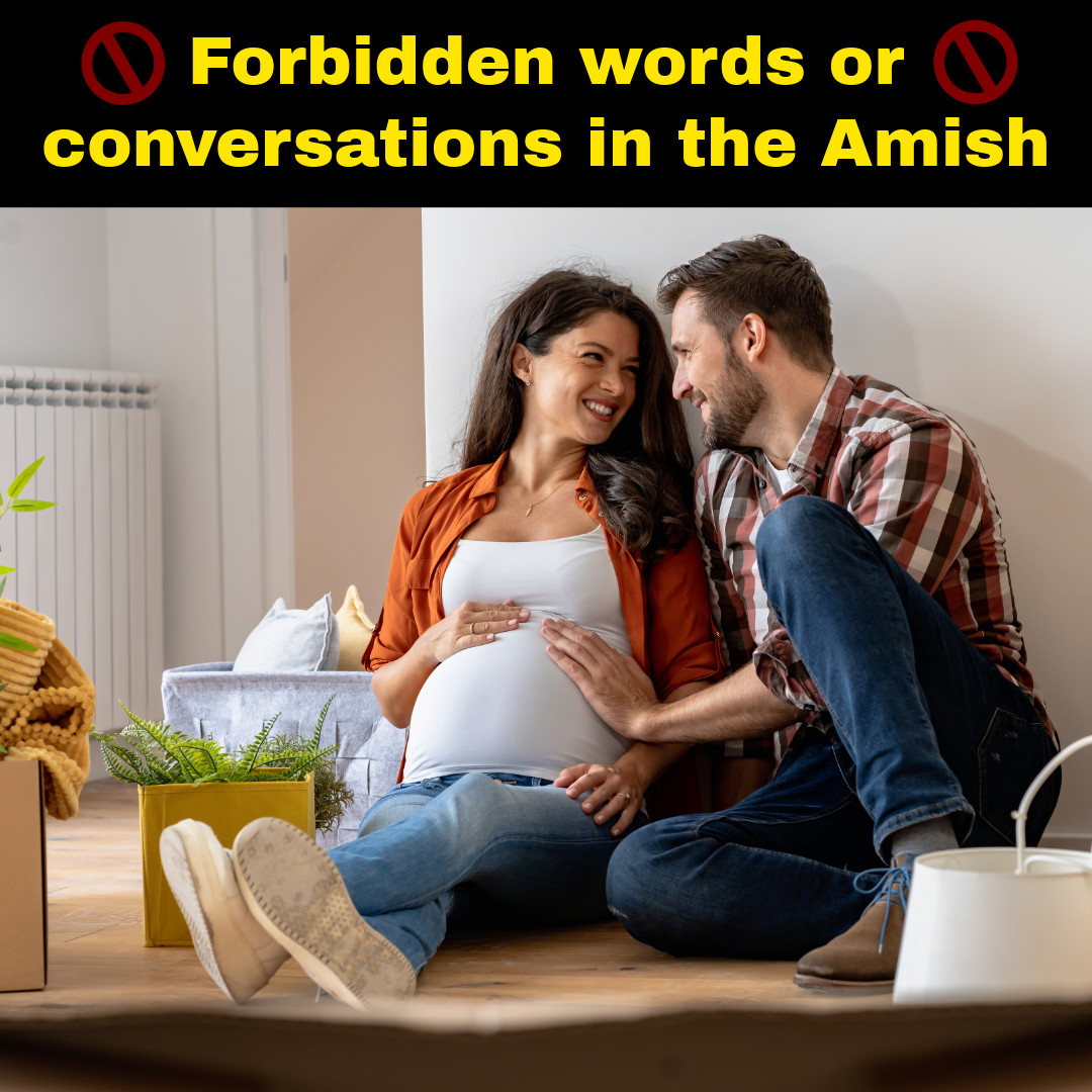 The Amish - When I was growing up in the Amish, there are many, many ...