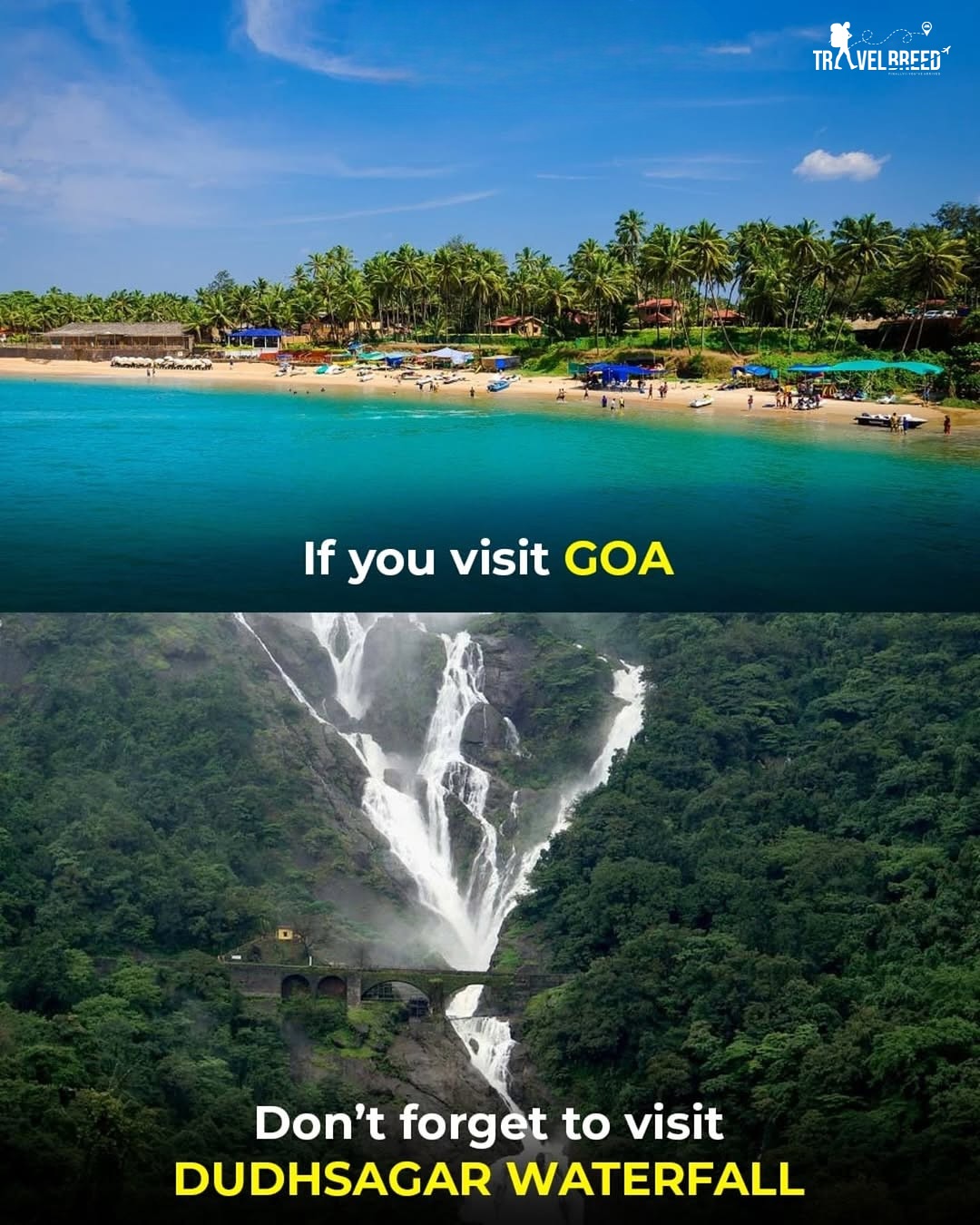 TravelBreed - 📍 When you visit GOA, these spots are... | Facebook