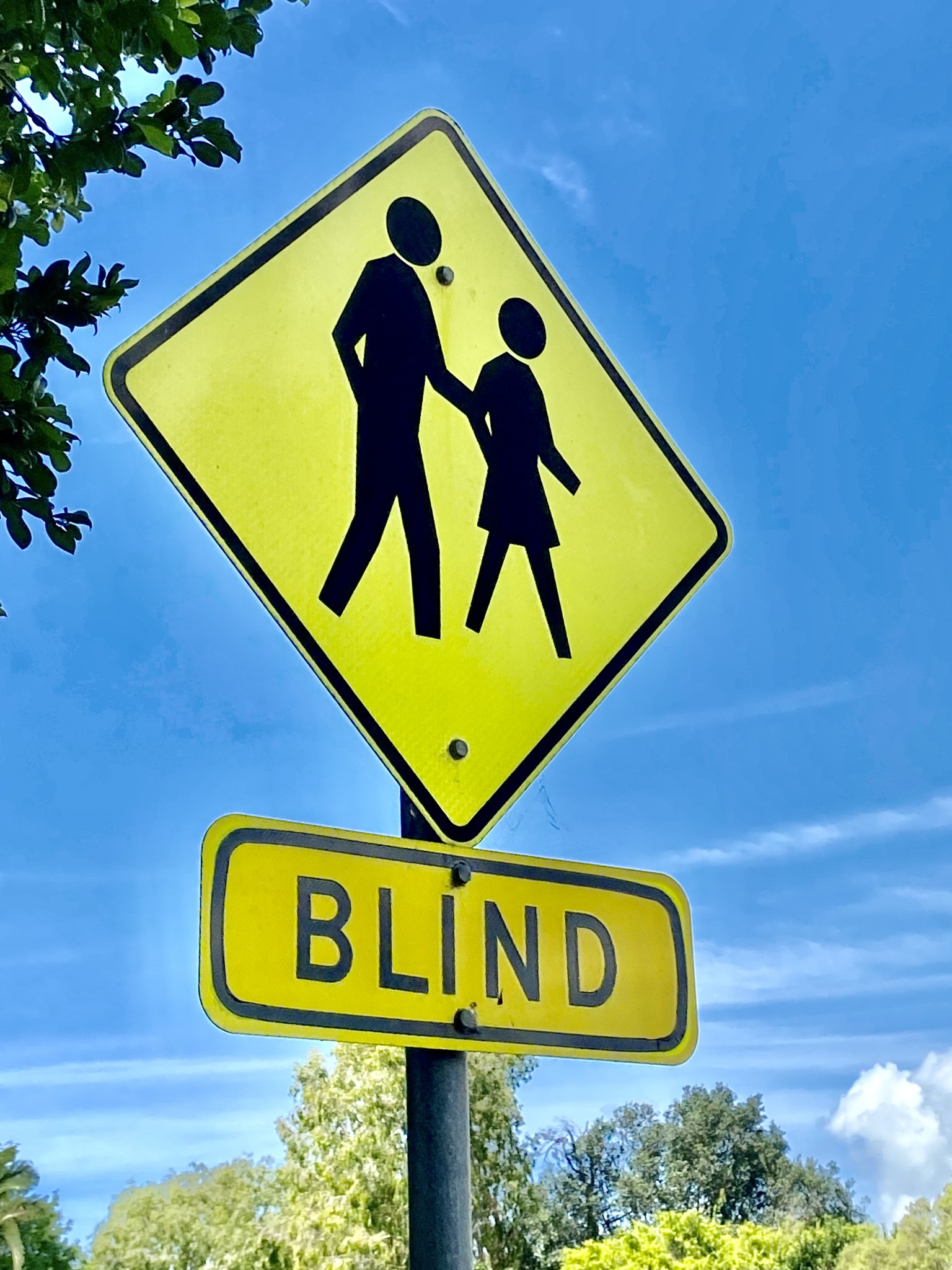 Forward - ORIENTATION & MOBILITY: BLIND PEDESTRIAN SIGNAGE Numerous ...