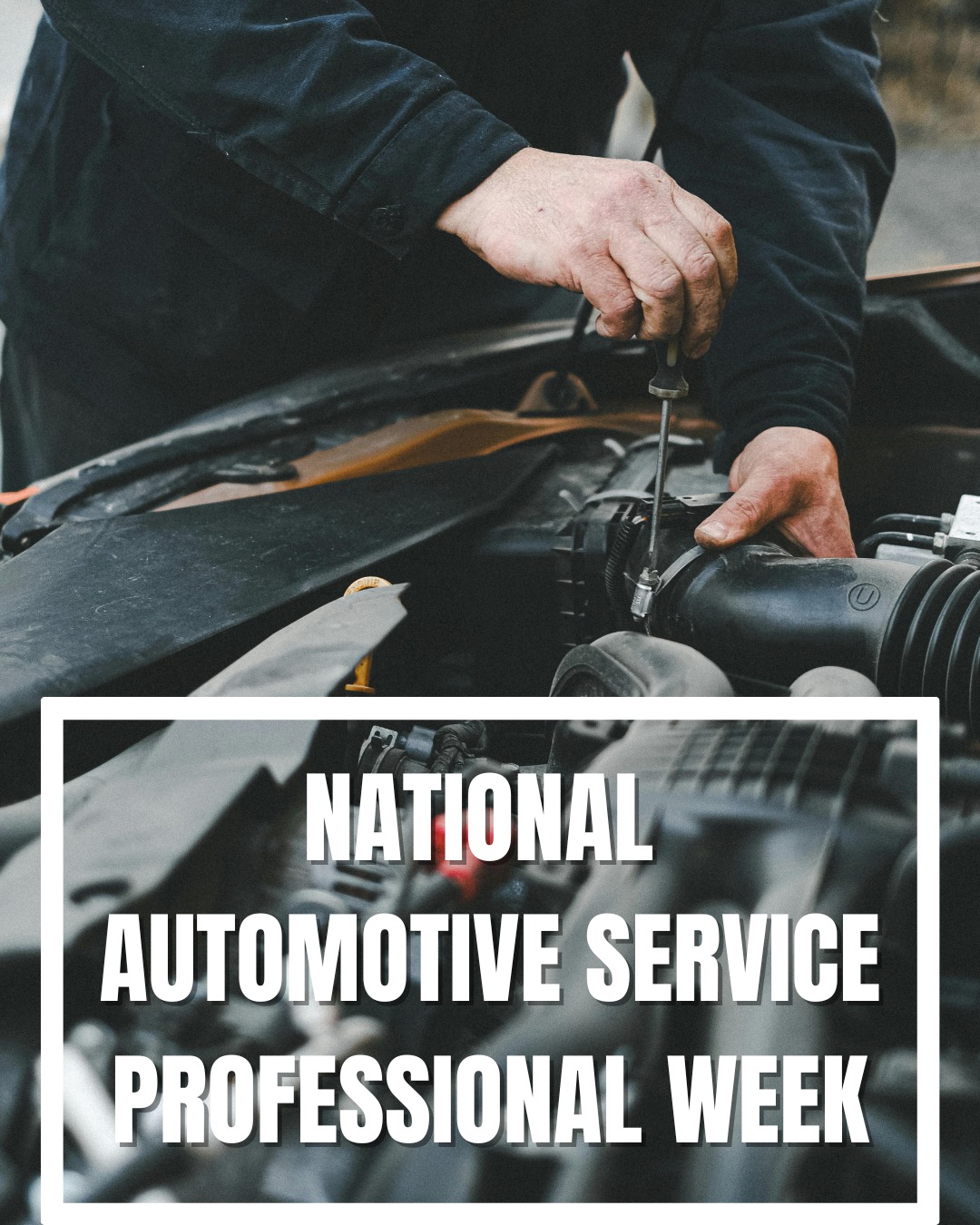 Capital - This week is all about the unsung heroes of the dealership ...