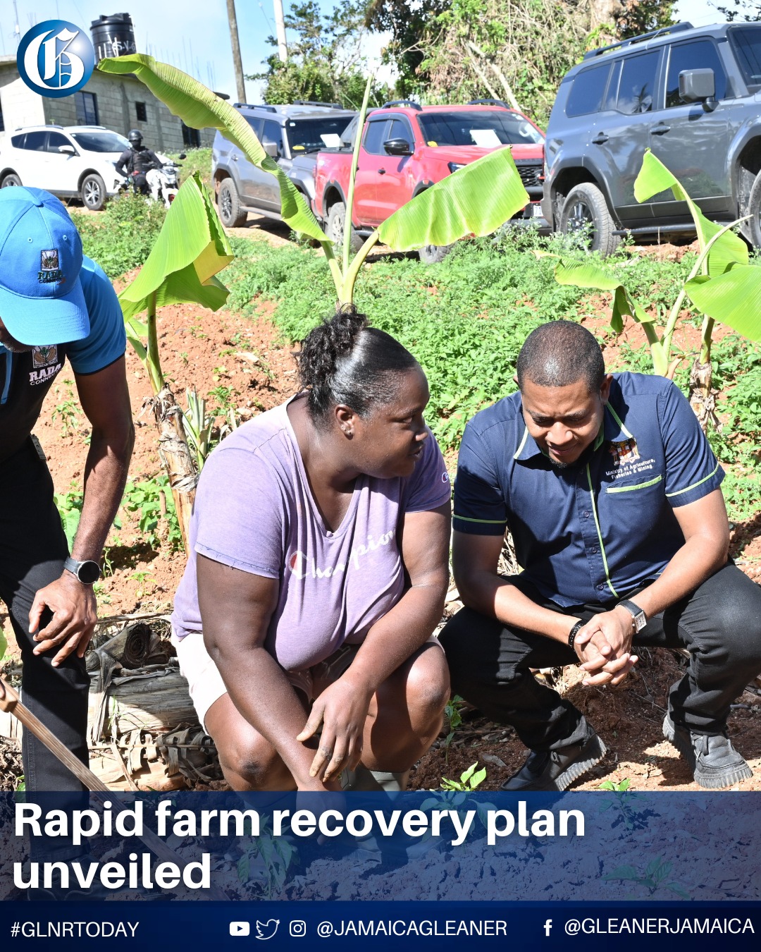 Titi Foundation Fast Track Recovery Planning