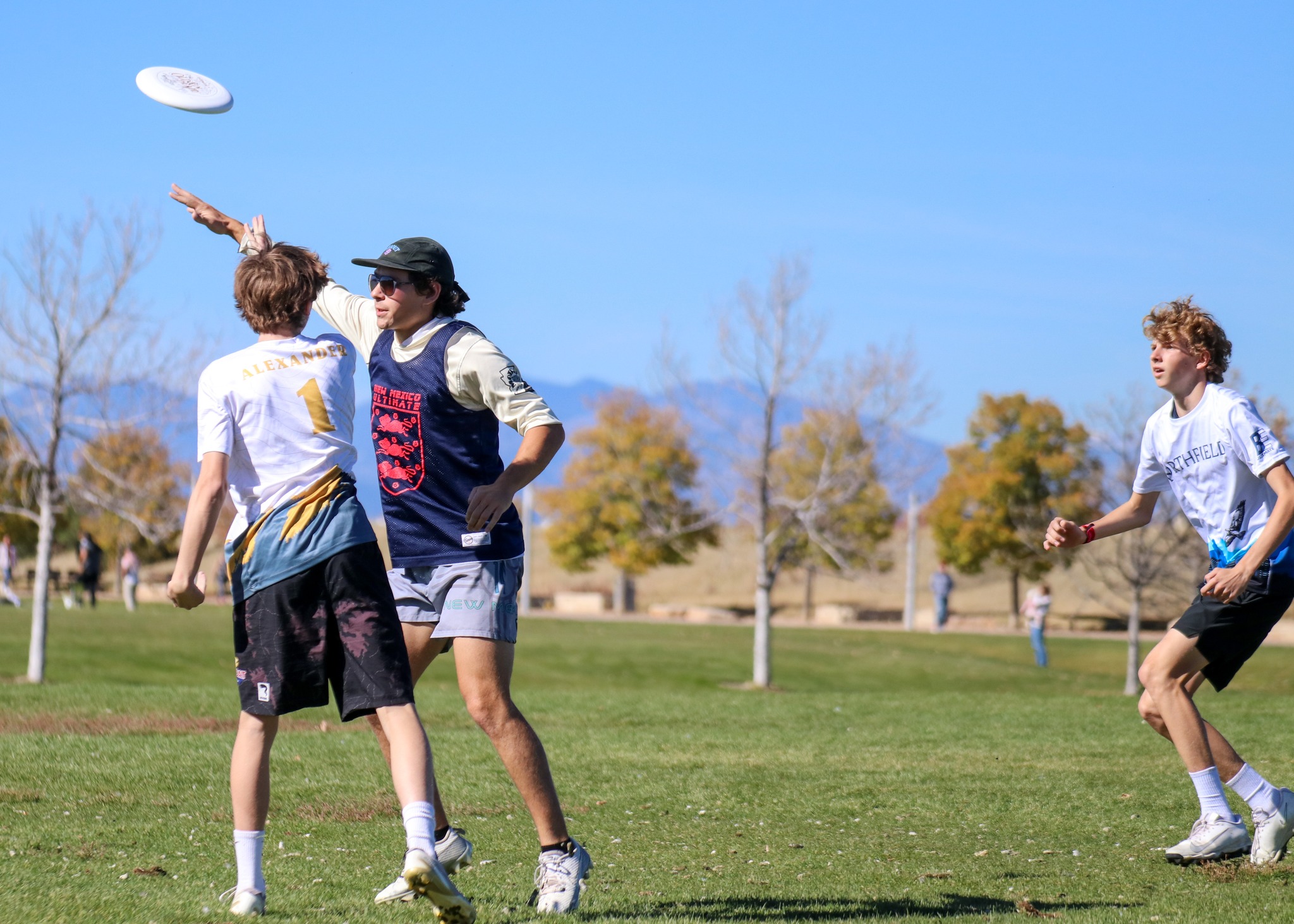 Central Park Ultimate Frisbee