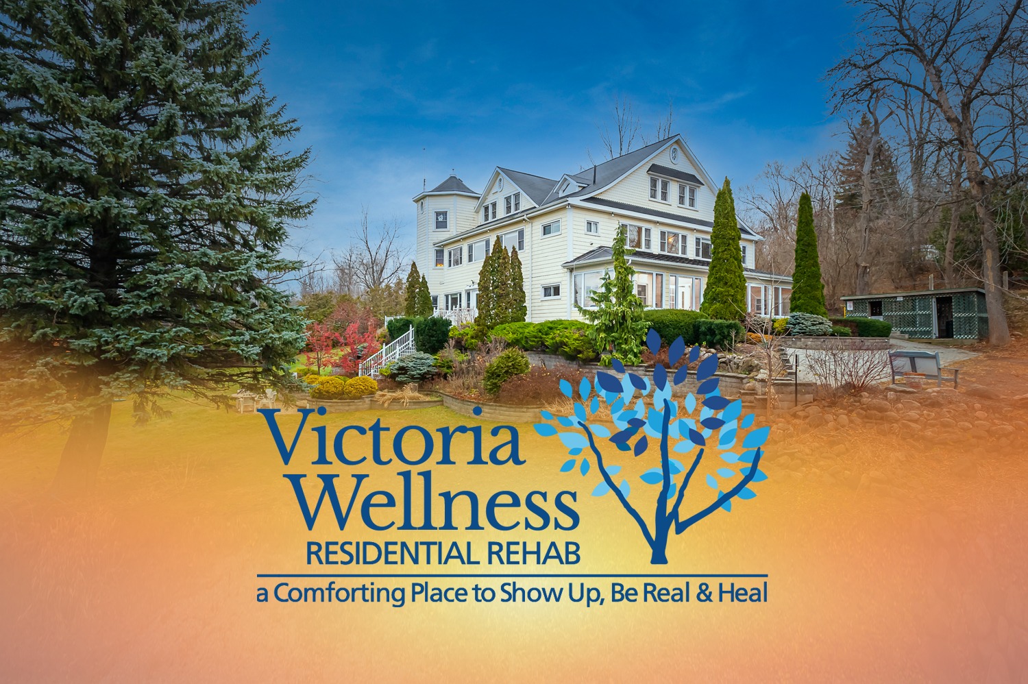 Victoria Wellness Mental Health