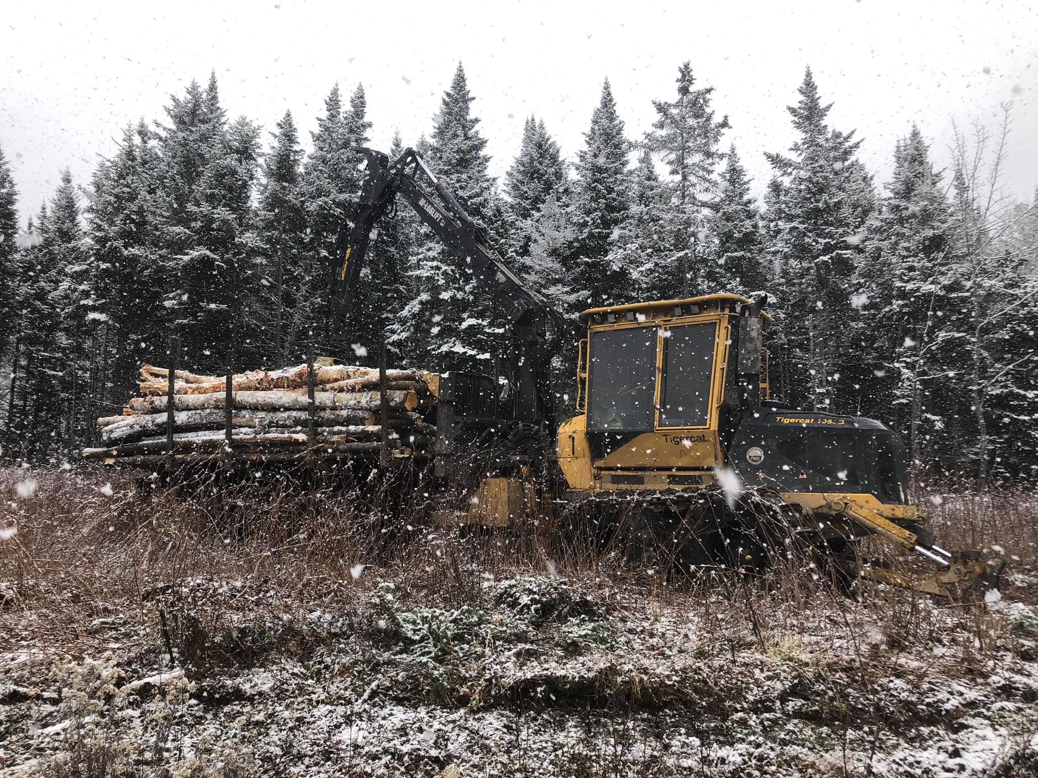 BMR Logging | Jackman ME