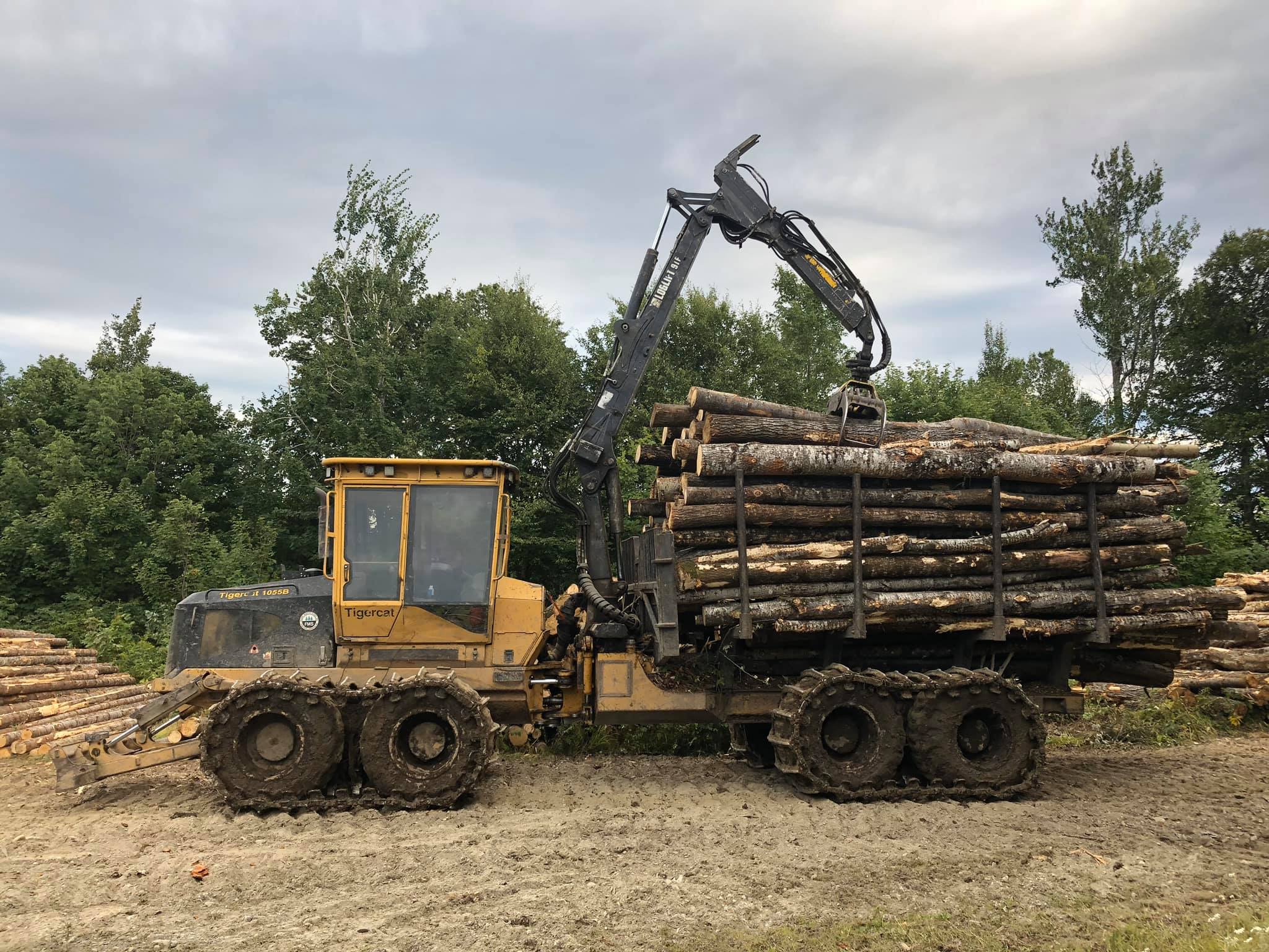 BMR Logging | Jackman ME