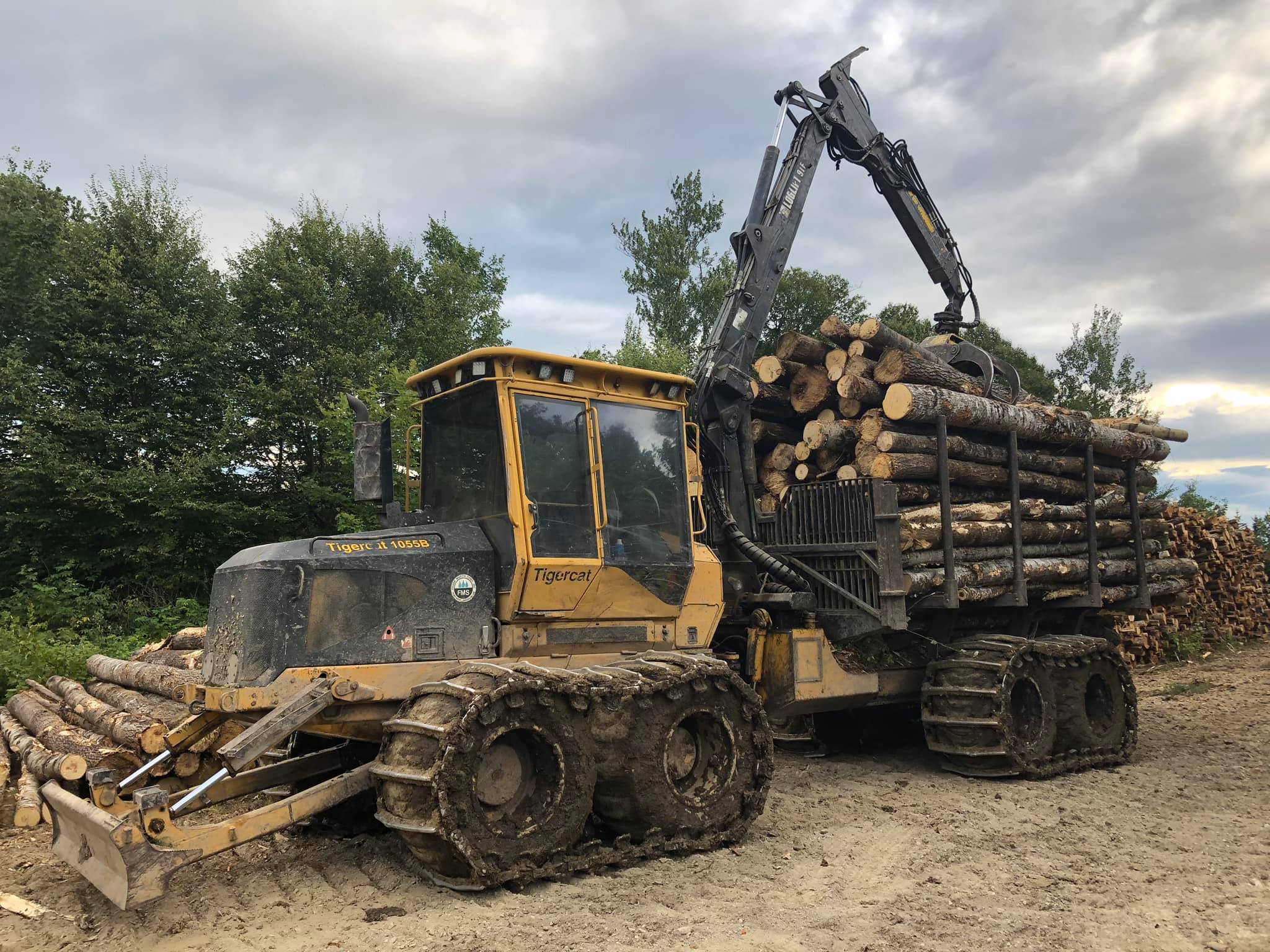 BMR Logging | Jackman ME