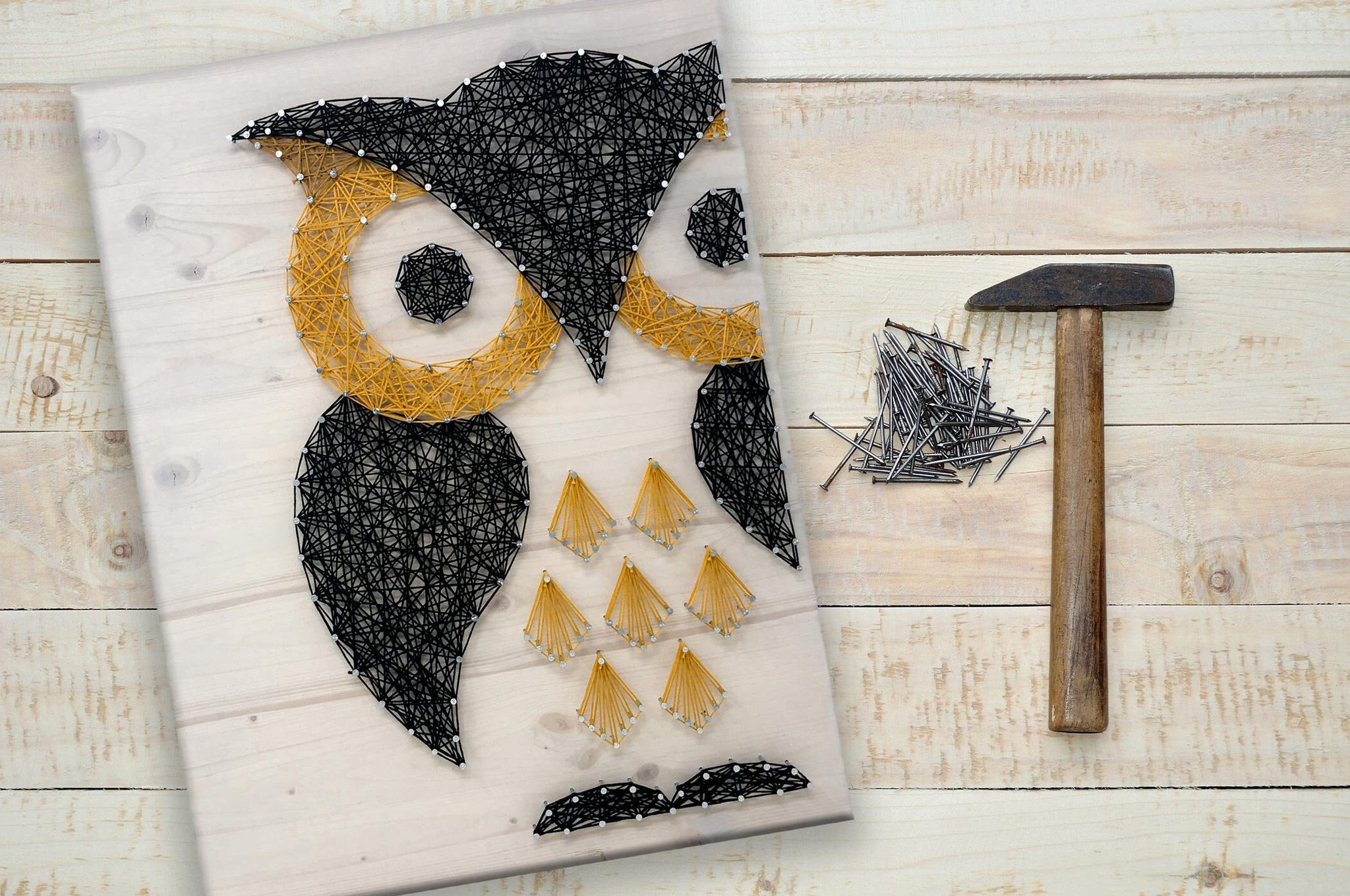 Owl String Art Craft Class Workshop