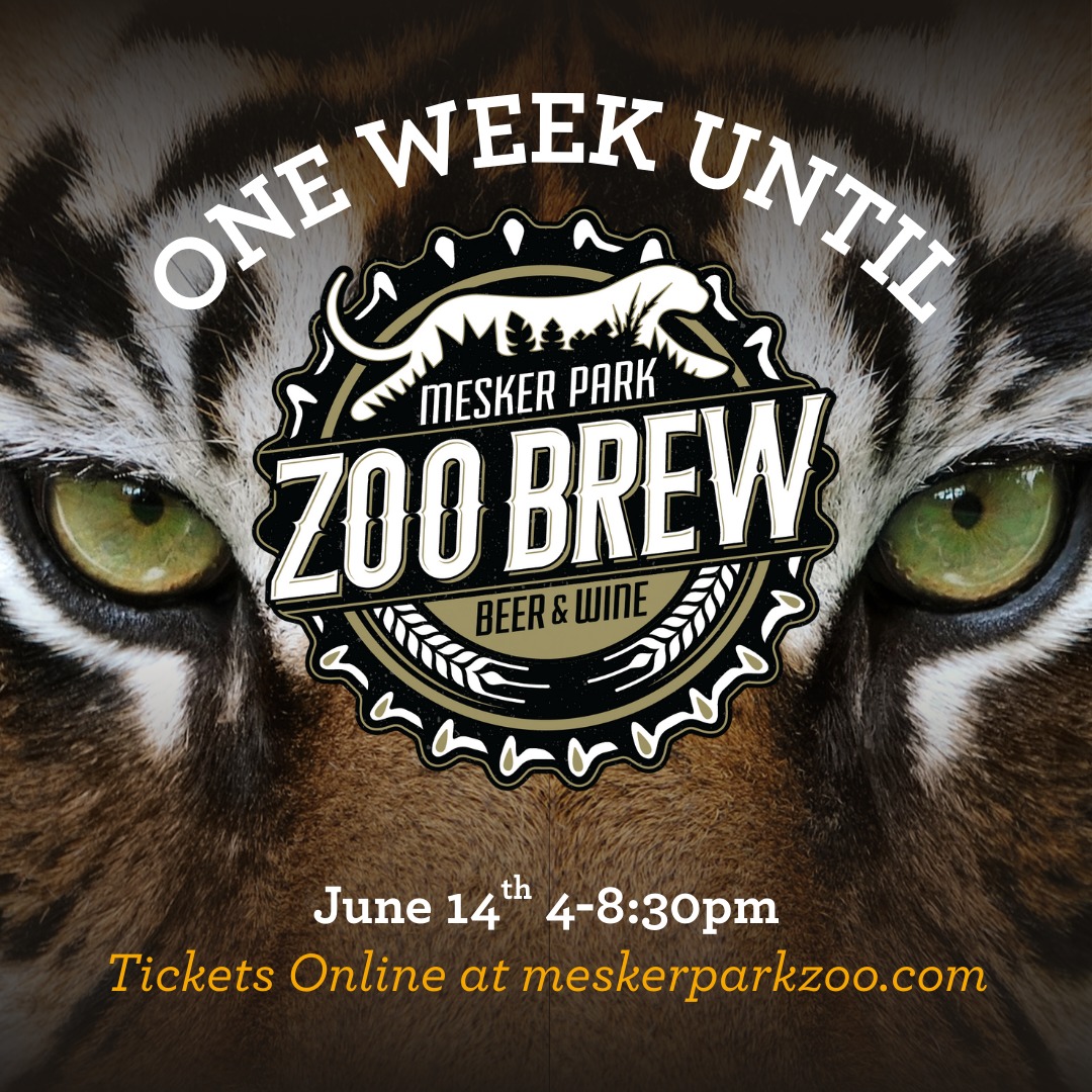 One week until Zoo... - Mesker Park Zoo & Botanic Garden | Facebook