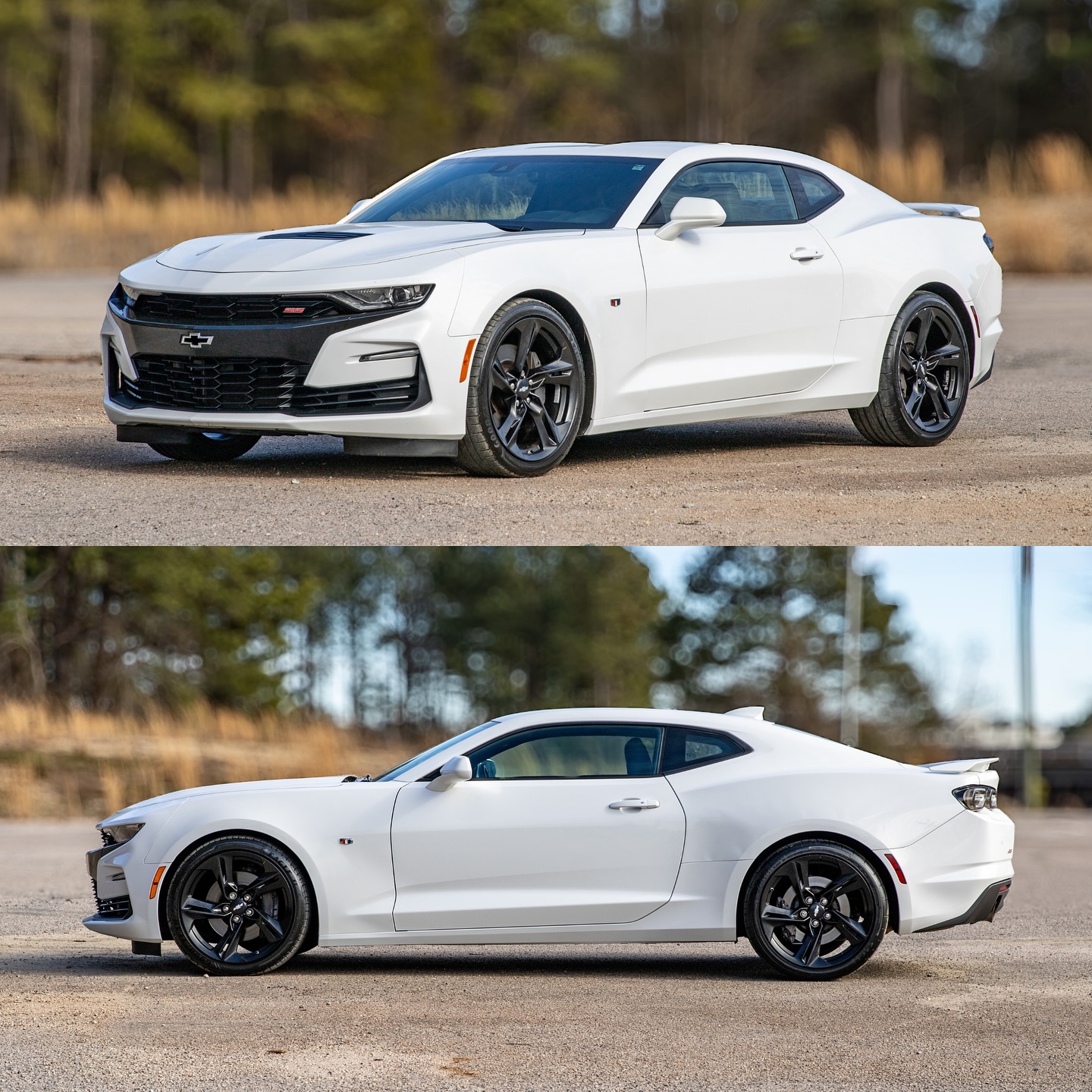 Master Auto Group | Raleigh NC