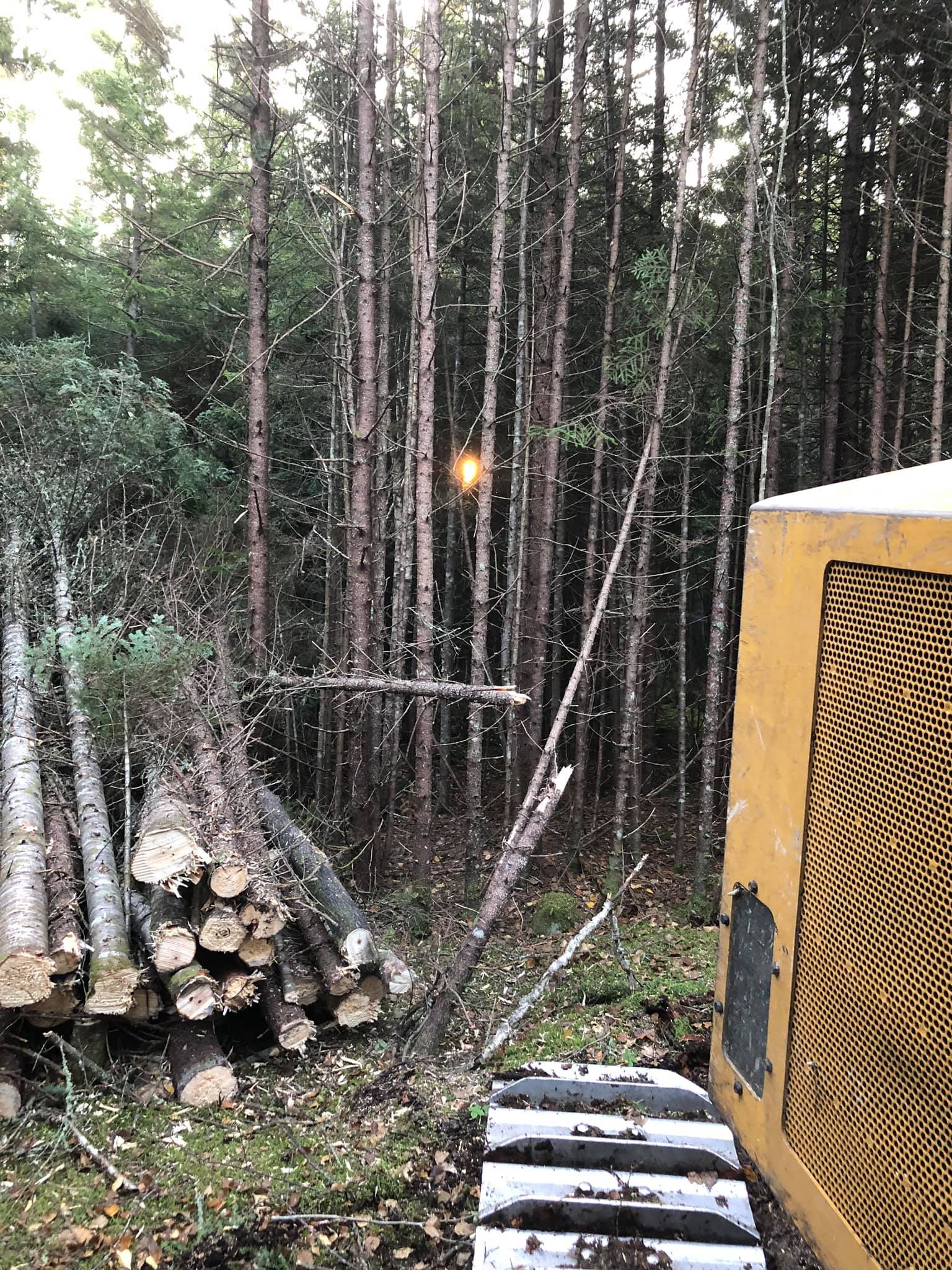 BMR Logging | Jackman ME