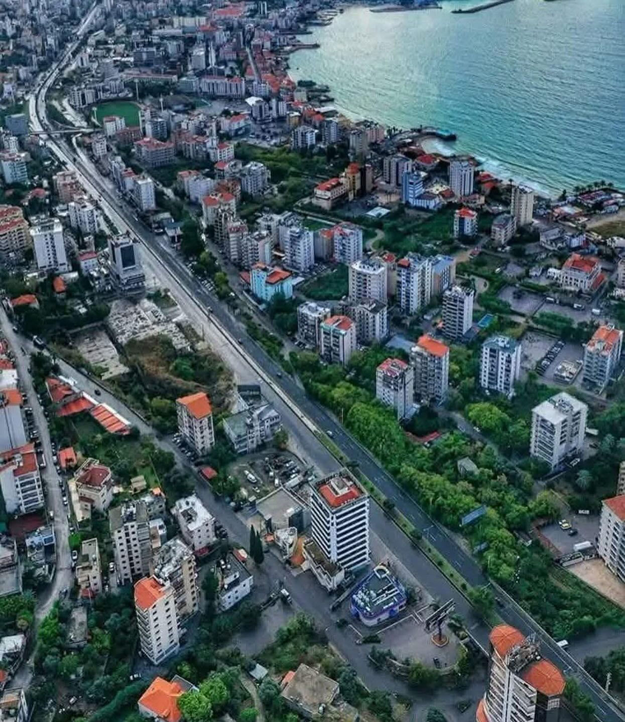Araya News- Lebanon عاريا نيوز -لبنان