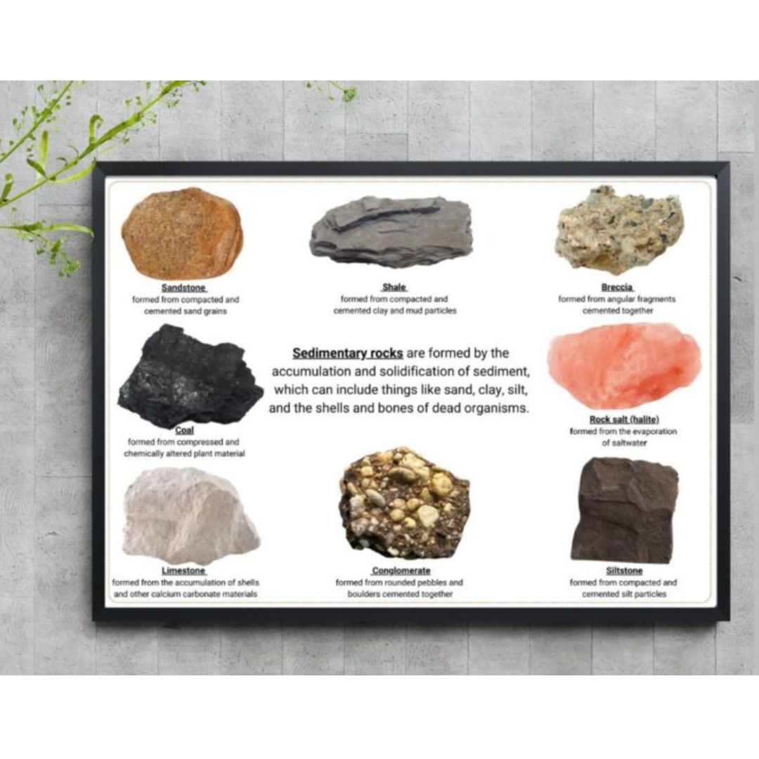 Poster of sedimentary rocks - FREE... - Engineering geology | Facebook