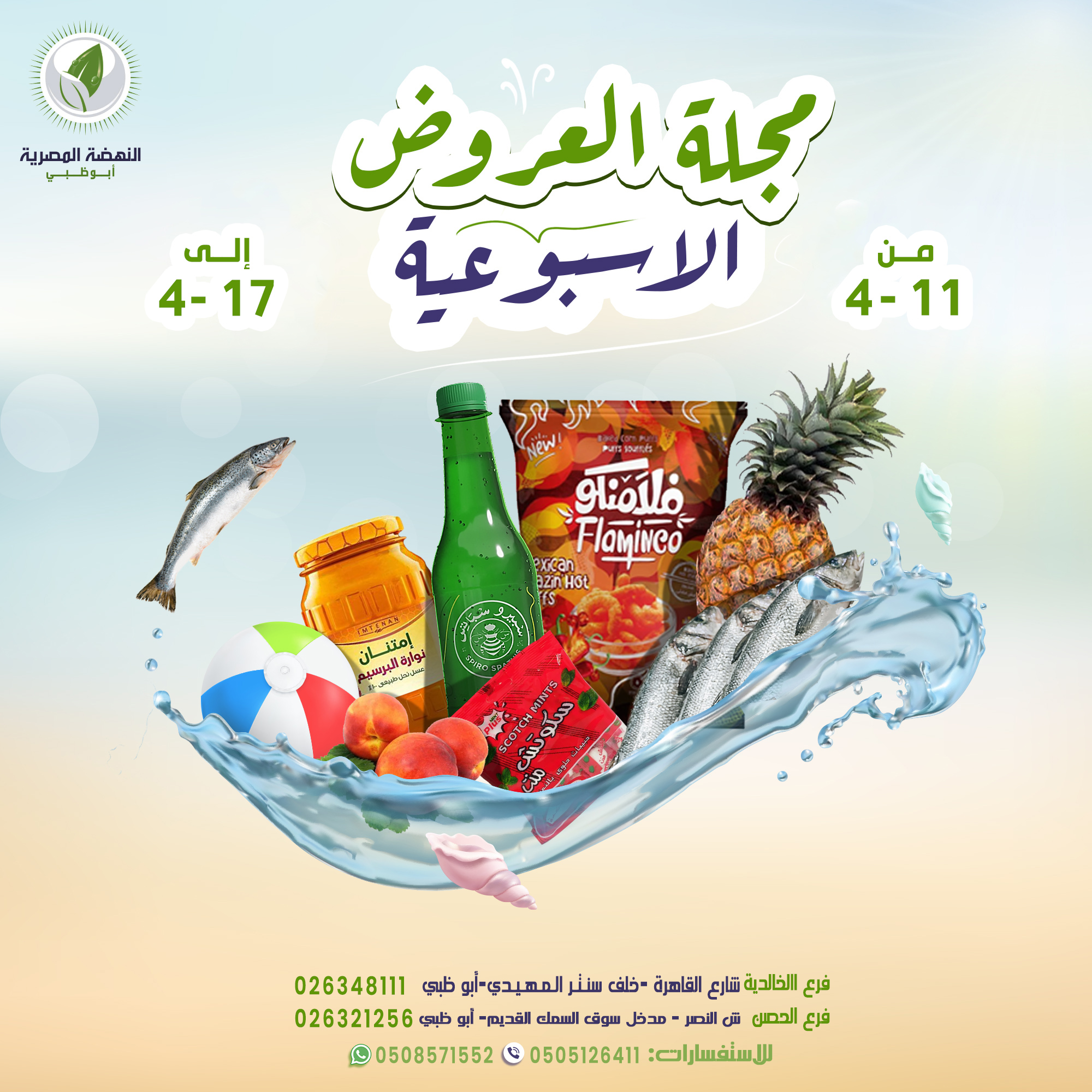 شركه النهضه المصريه ابوظبي Al Nahda Al Misria Abu Dhabi