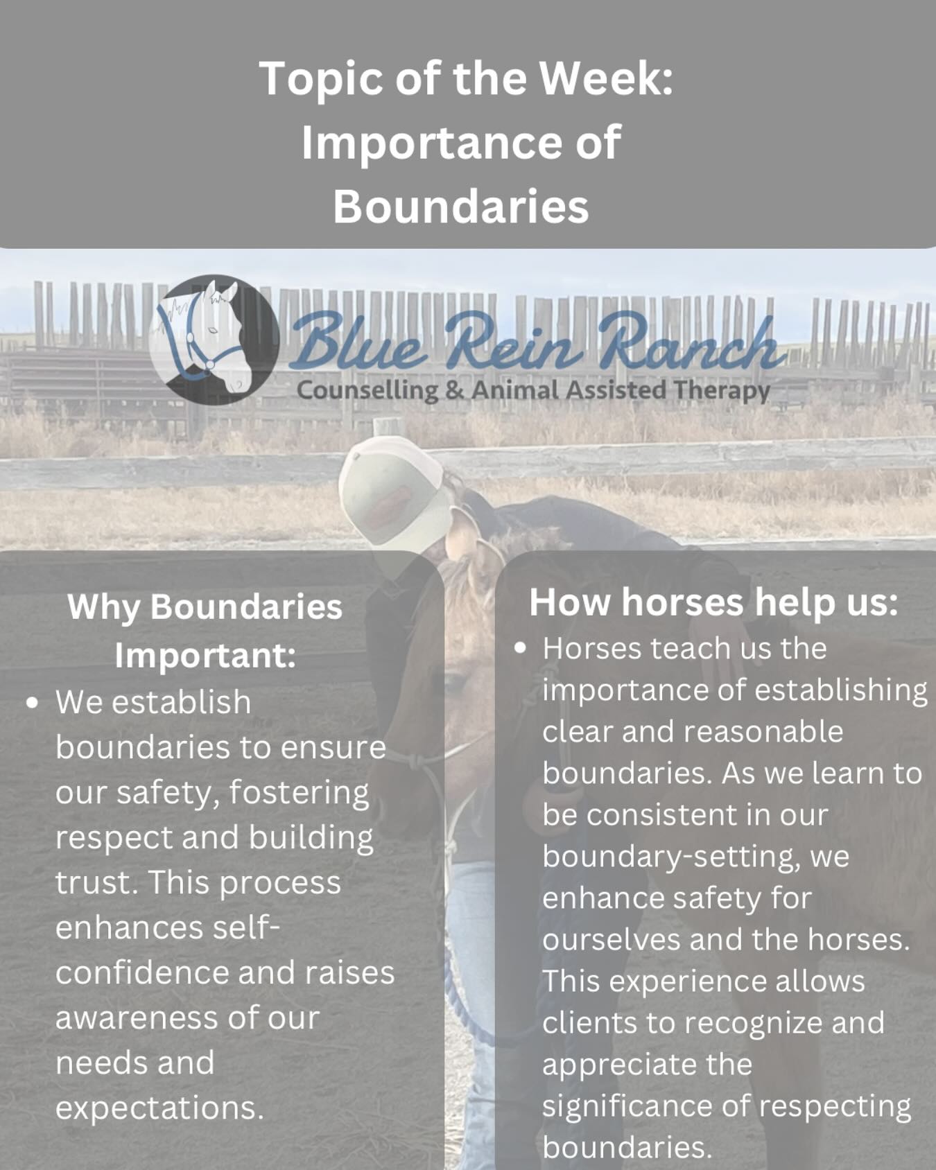 Blue Rein Ranch Counselling & Animal Assisted Therapy | Fort Macleod AB
