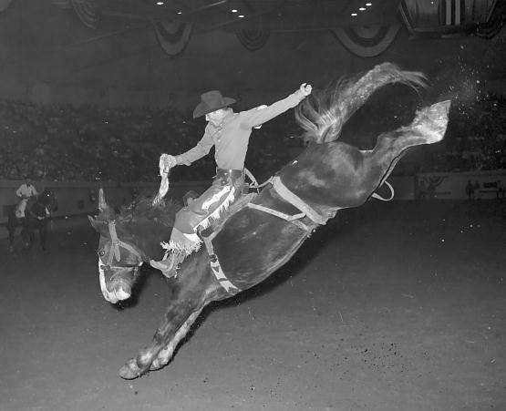 Tooke Bucking Horses - Hysham, Montana cowboy, JC Bonine, on Major Reno ...