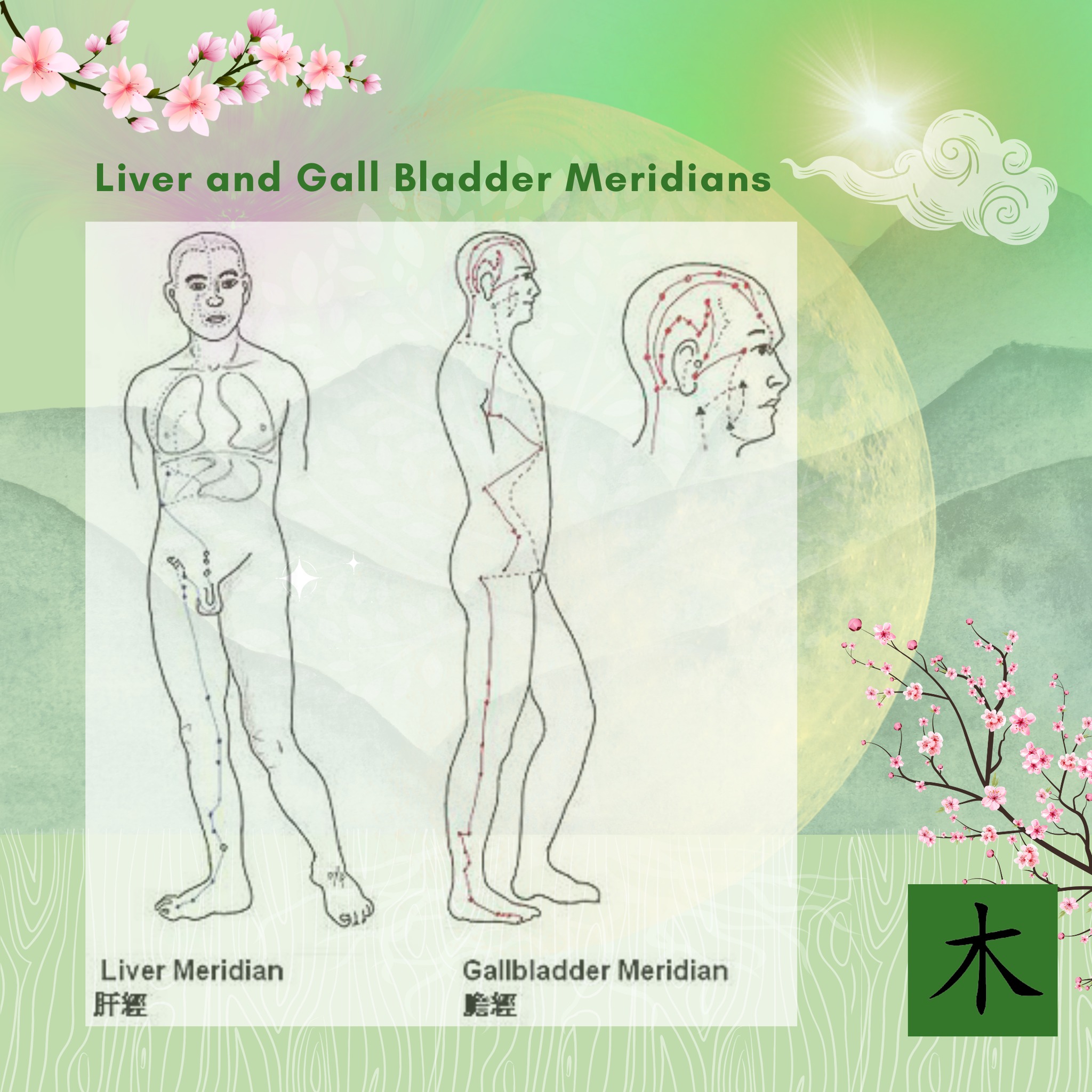 Meridian Healing Arts | Phoenix AZ