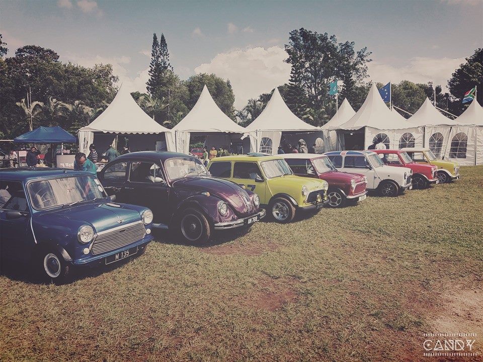 Mauritius Mini Club